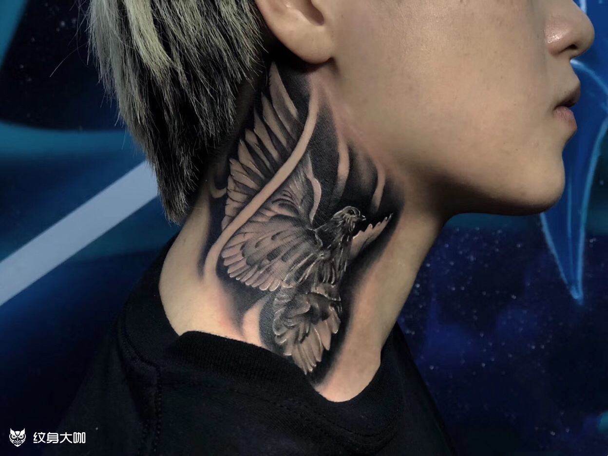 和平鸽_纹身图案手稿图片_杨绮柏的纹身作品集