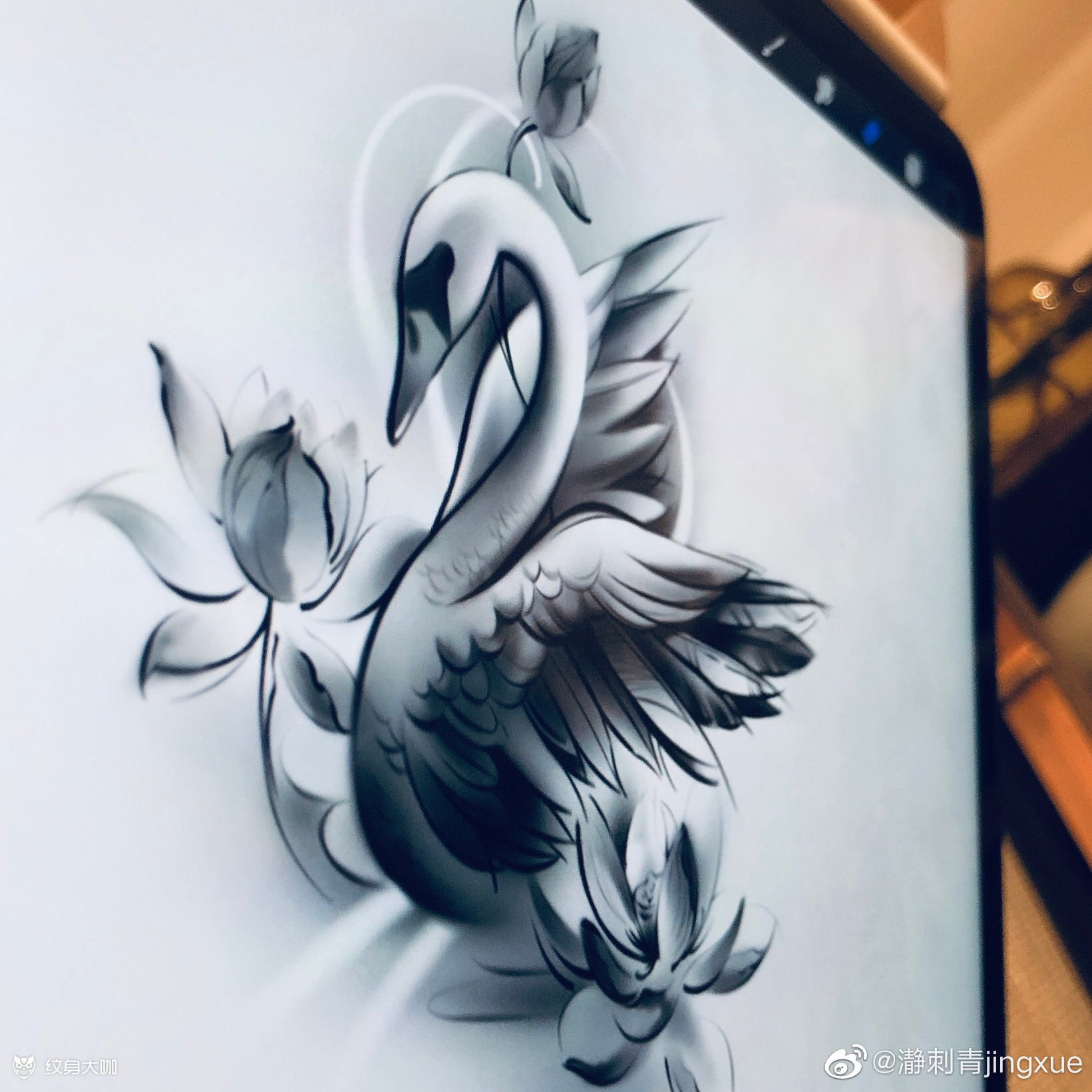原创天鹅与荷花_纹身图案手稿图片_jingxue的纹身作品集