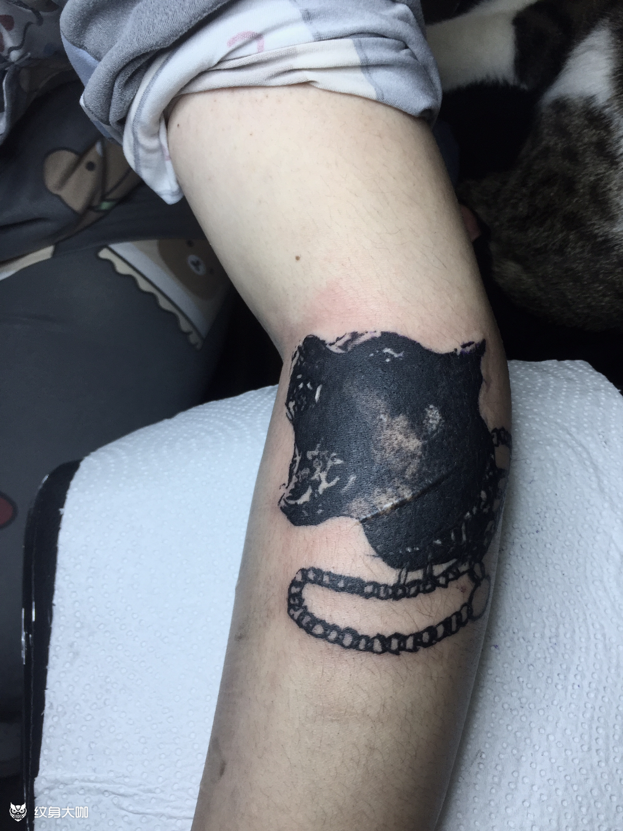 狗头遮盖_纹身图案手稿图片_陈苏珊的纹身作品集