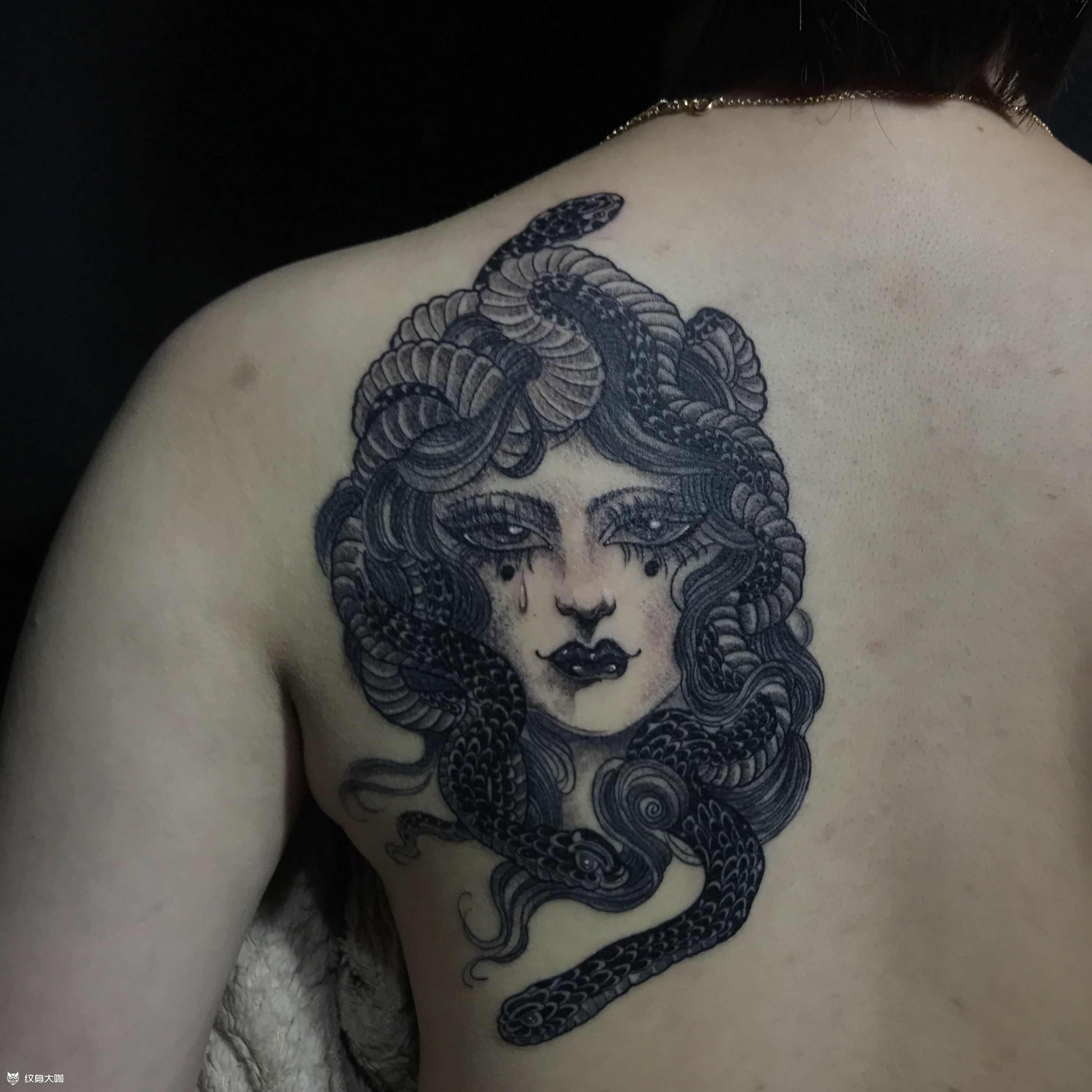 后背美杜莎_纹身图案手稿图片_汉堡的纹身作品集