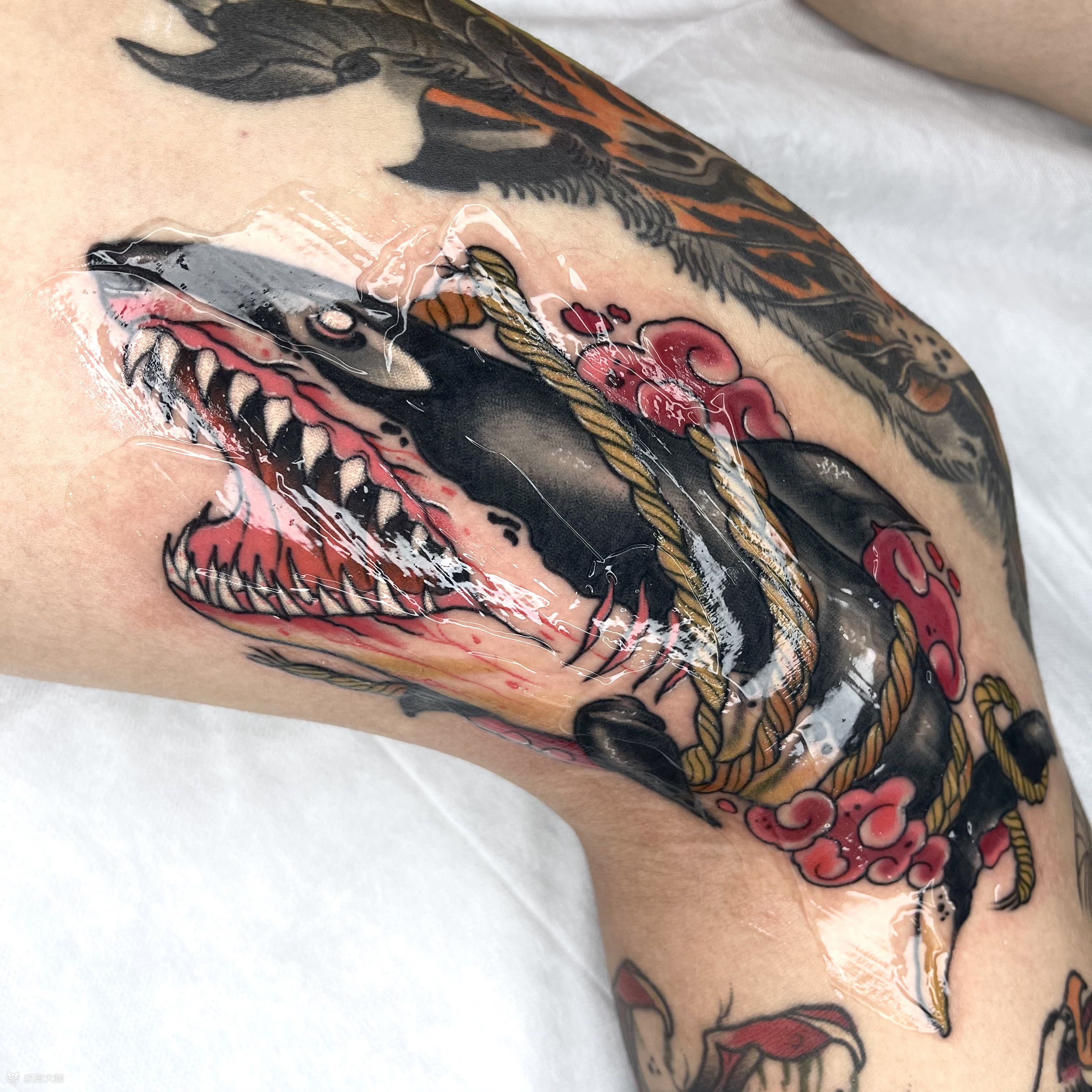 鲨鱼00_纹身图案手稿图片_黄晓旭的纹身作品集