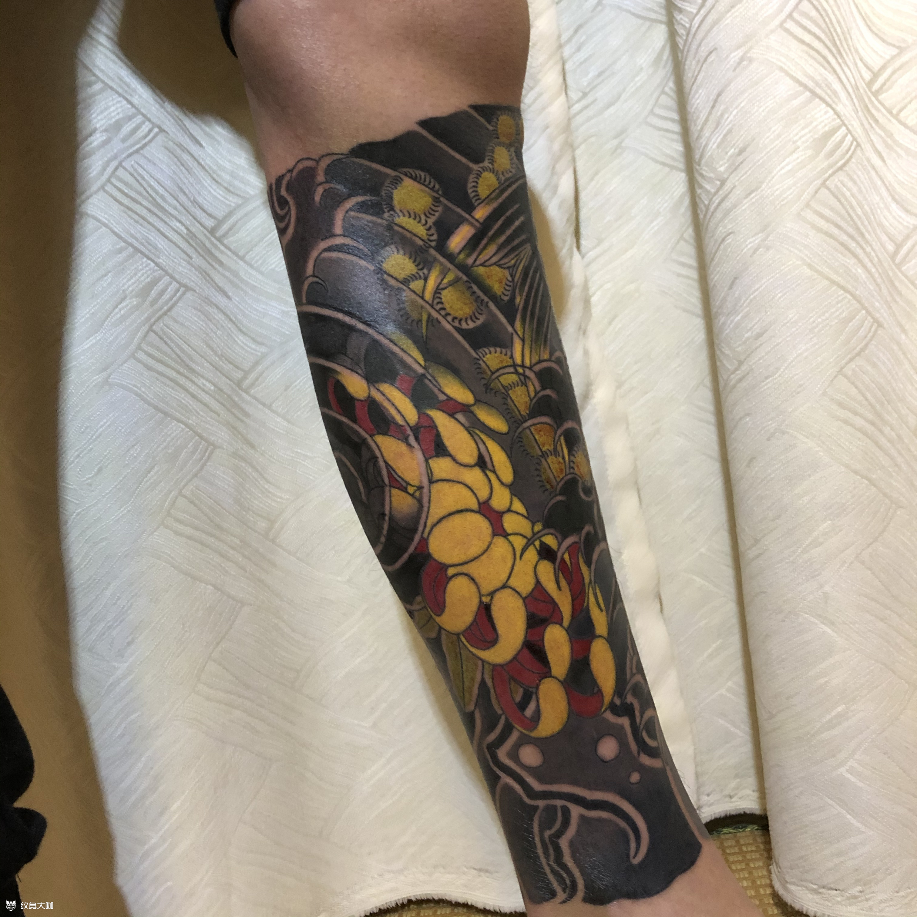 老传统包小腿遮盖