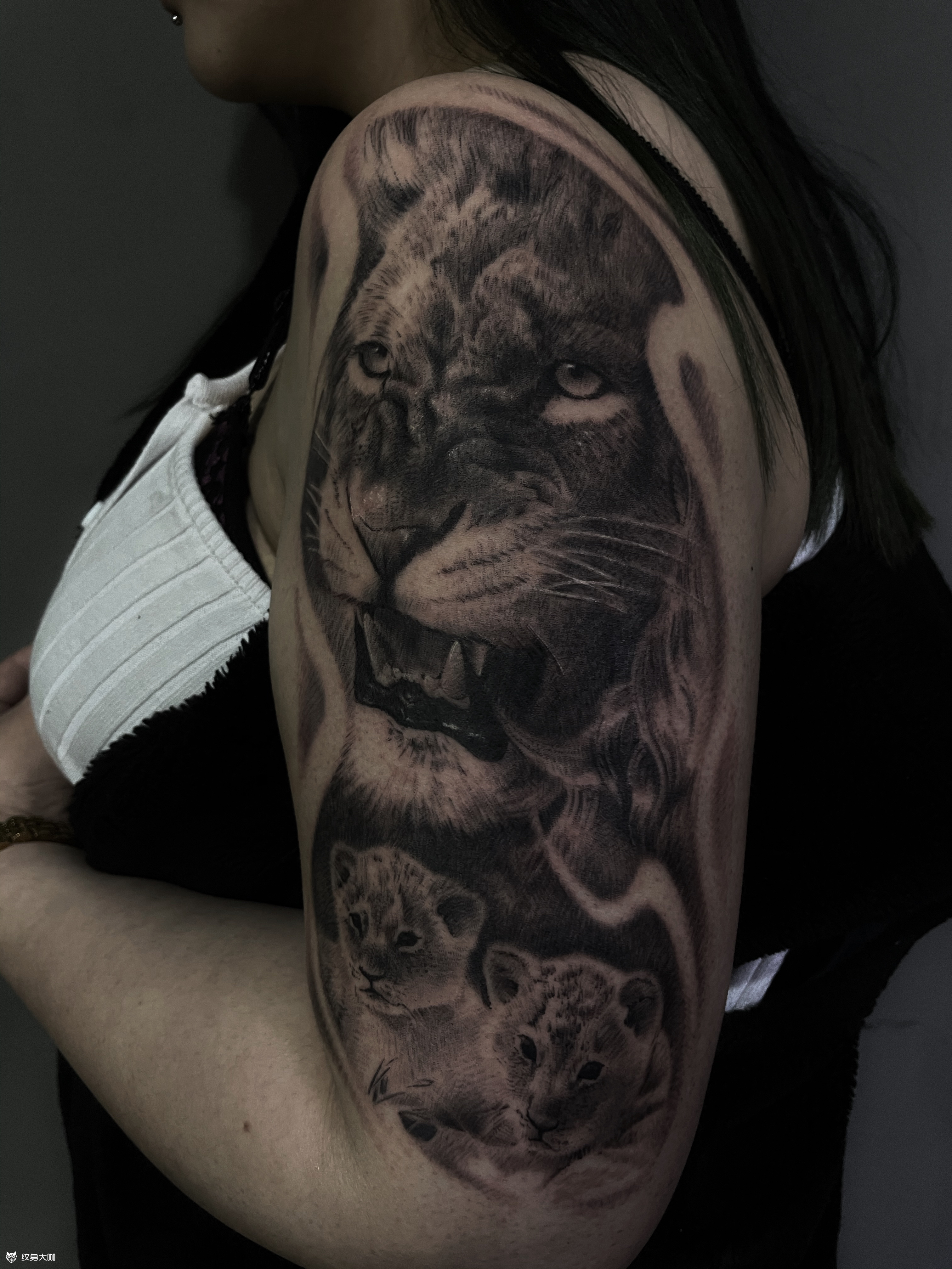 写实狮子_纹身图案手稿图片_济南炫腾张远的纹身作品集