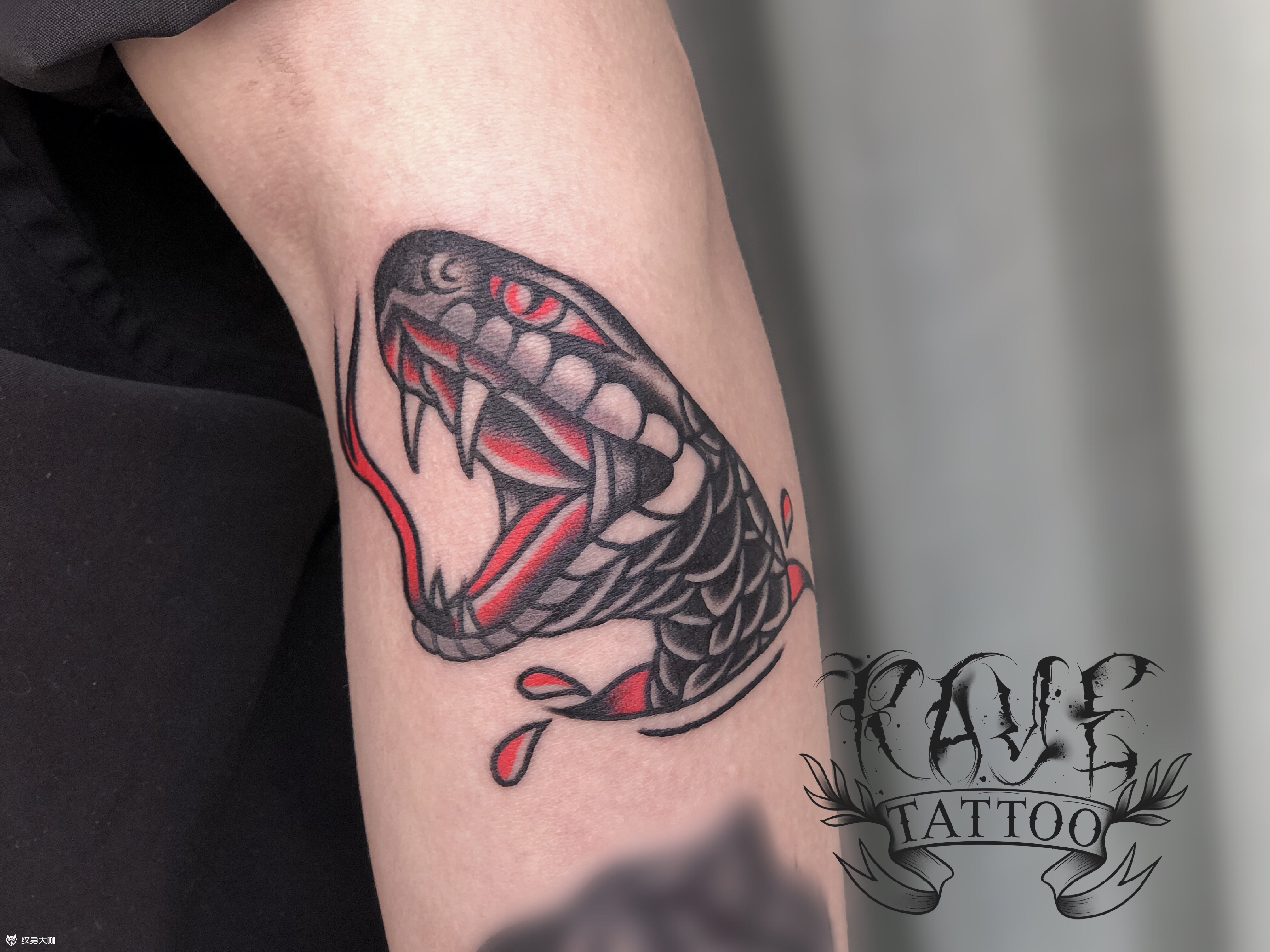 old school 蛇头_纹身图案手稿图片_raye 瑞哥的纹身作品集