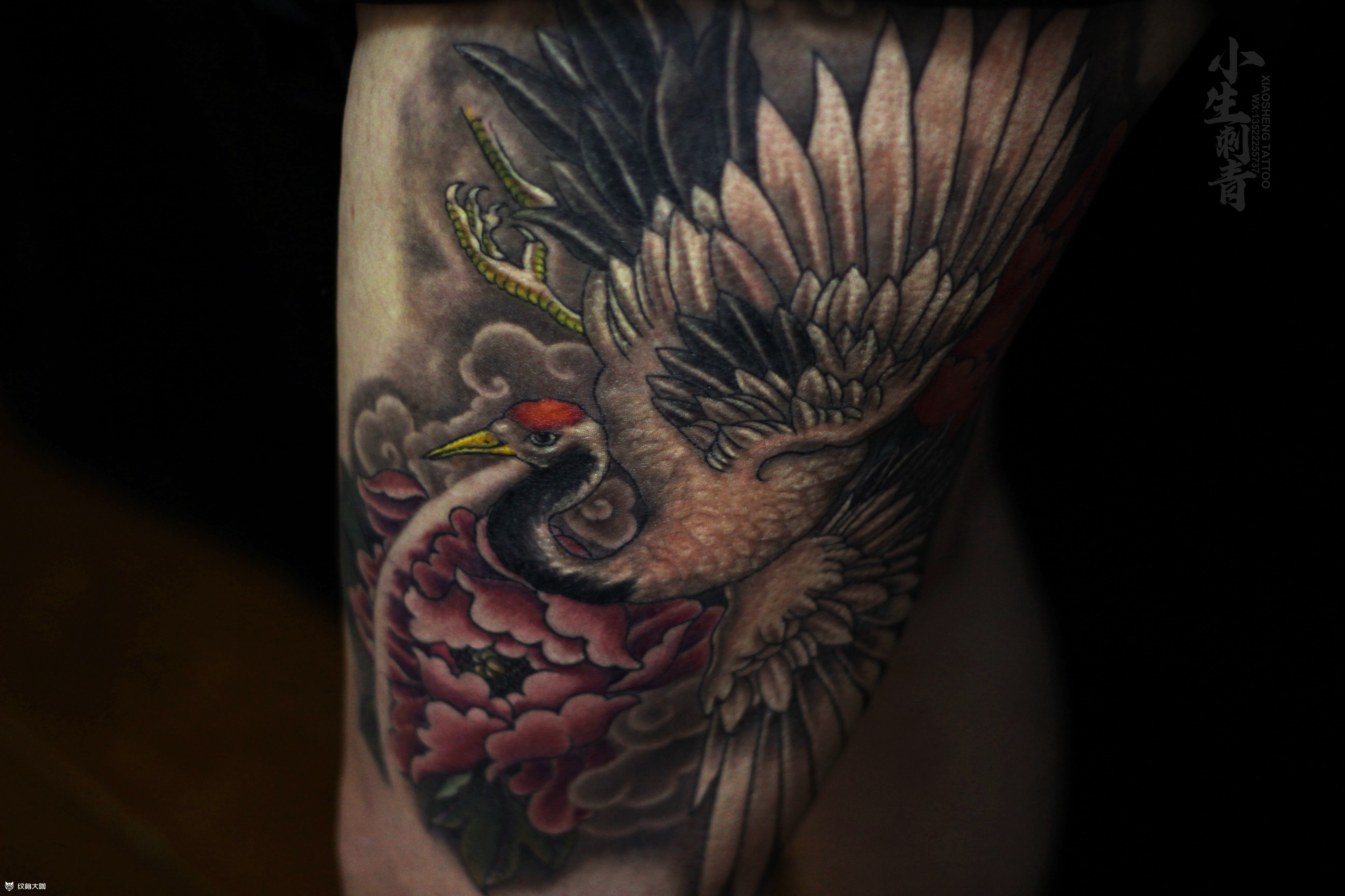 鹤03彩色牡丹仙鹤,这次完工_纹身吧社区 - 纹身大咖