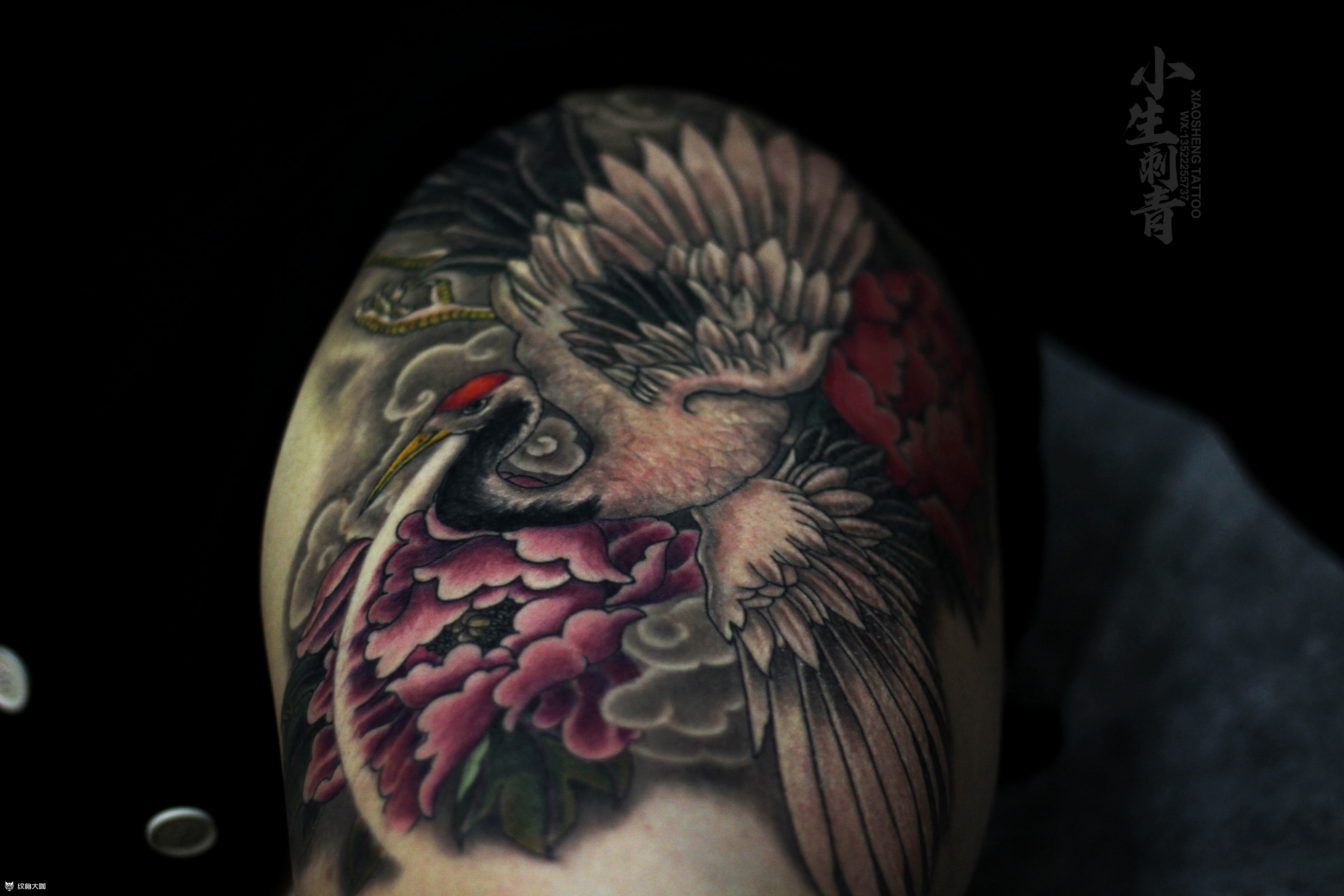鹤03彩色牡丹仙鹤,这次完工_纹身吧社区 - 纹身大咖