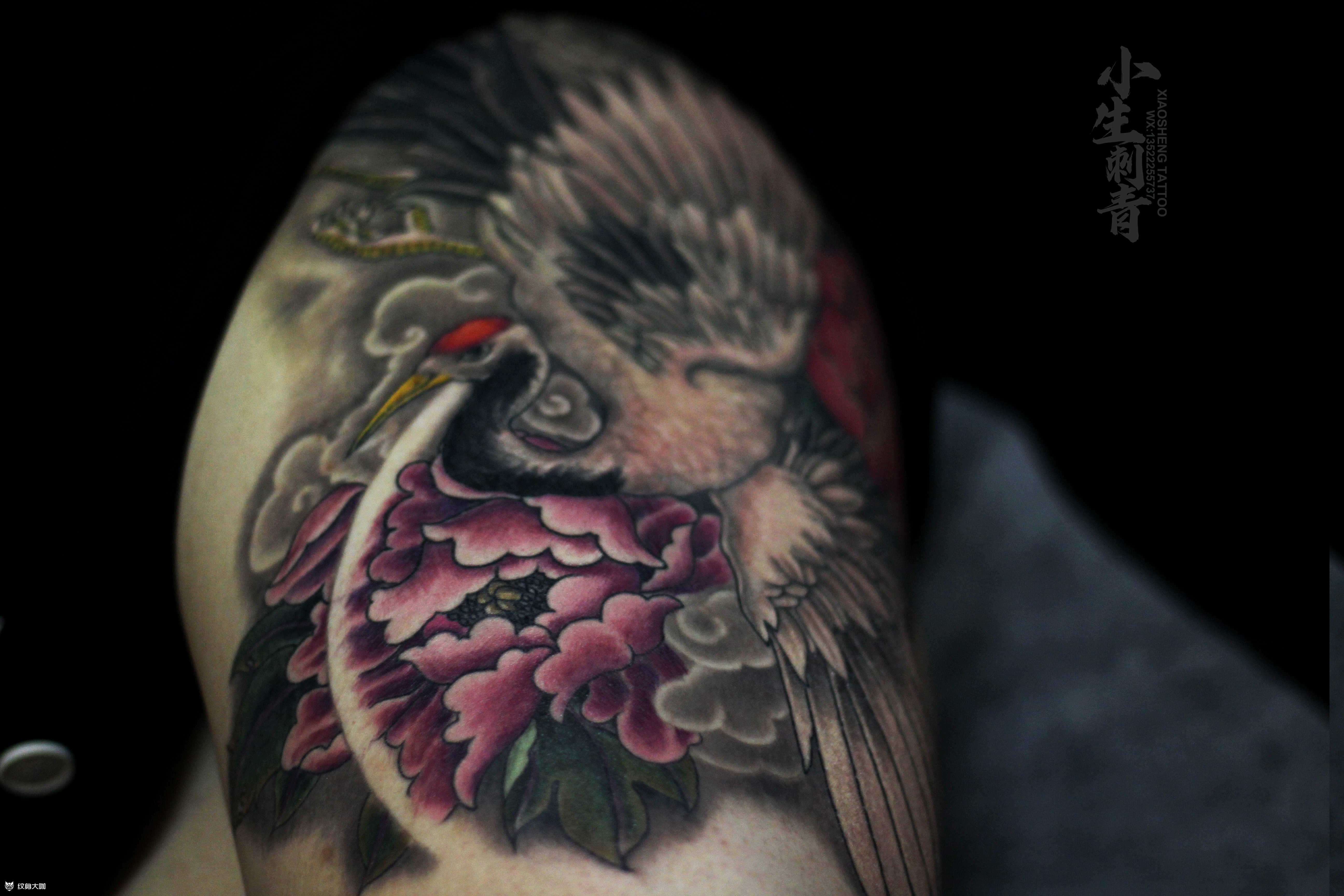 鹤03彩色牡丹仙鹤,这次完工_纹身吧社区 - 纹身大咖