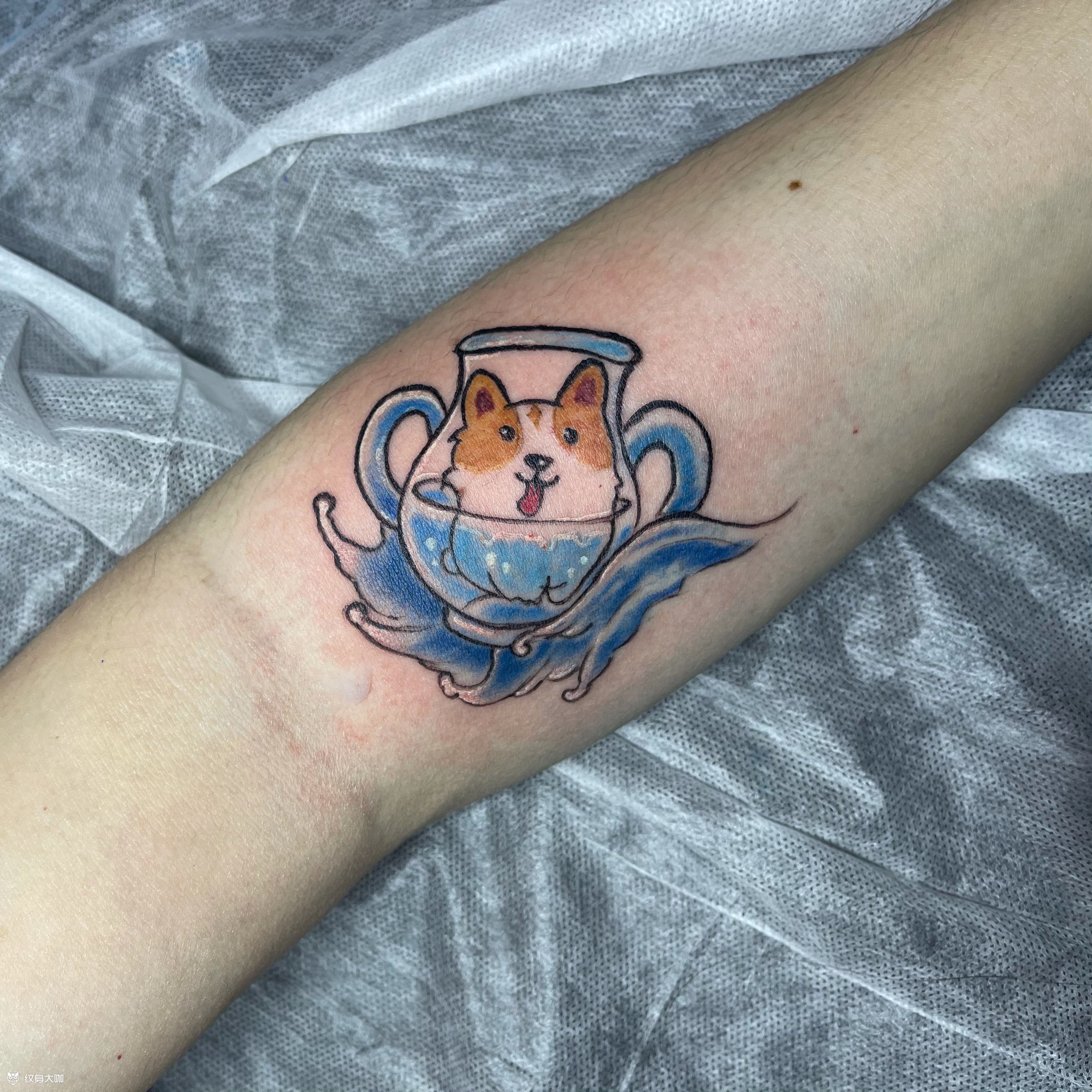 柯基犬_纹身图案手稿图片_大林的纹身作品集