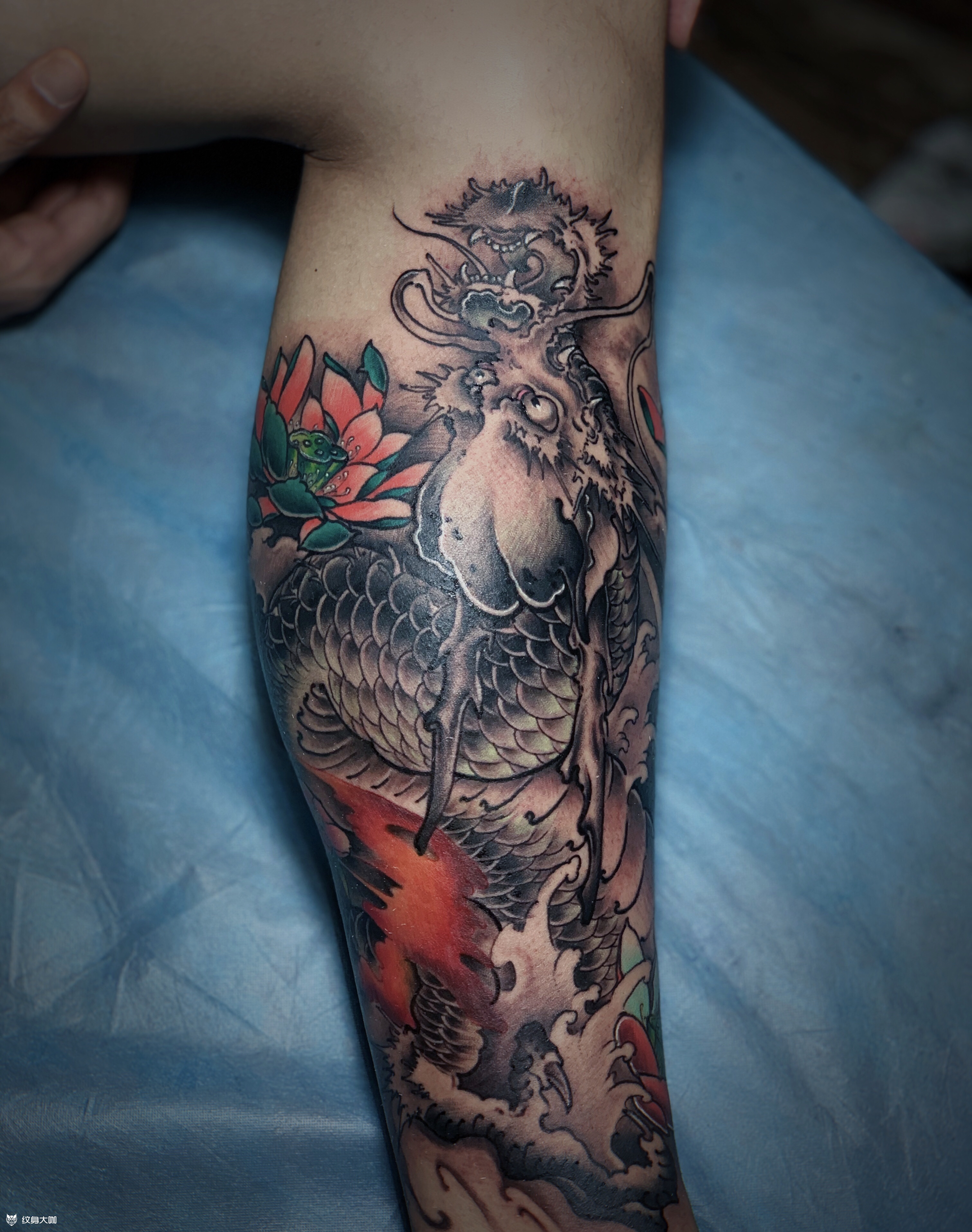 包小腿龙 荷花_纹身图案手稿图片_初代雕浪的纹身作品集