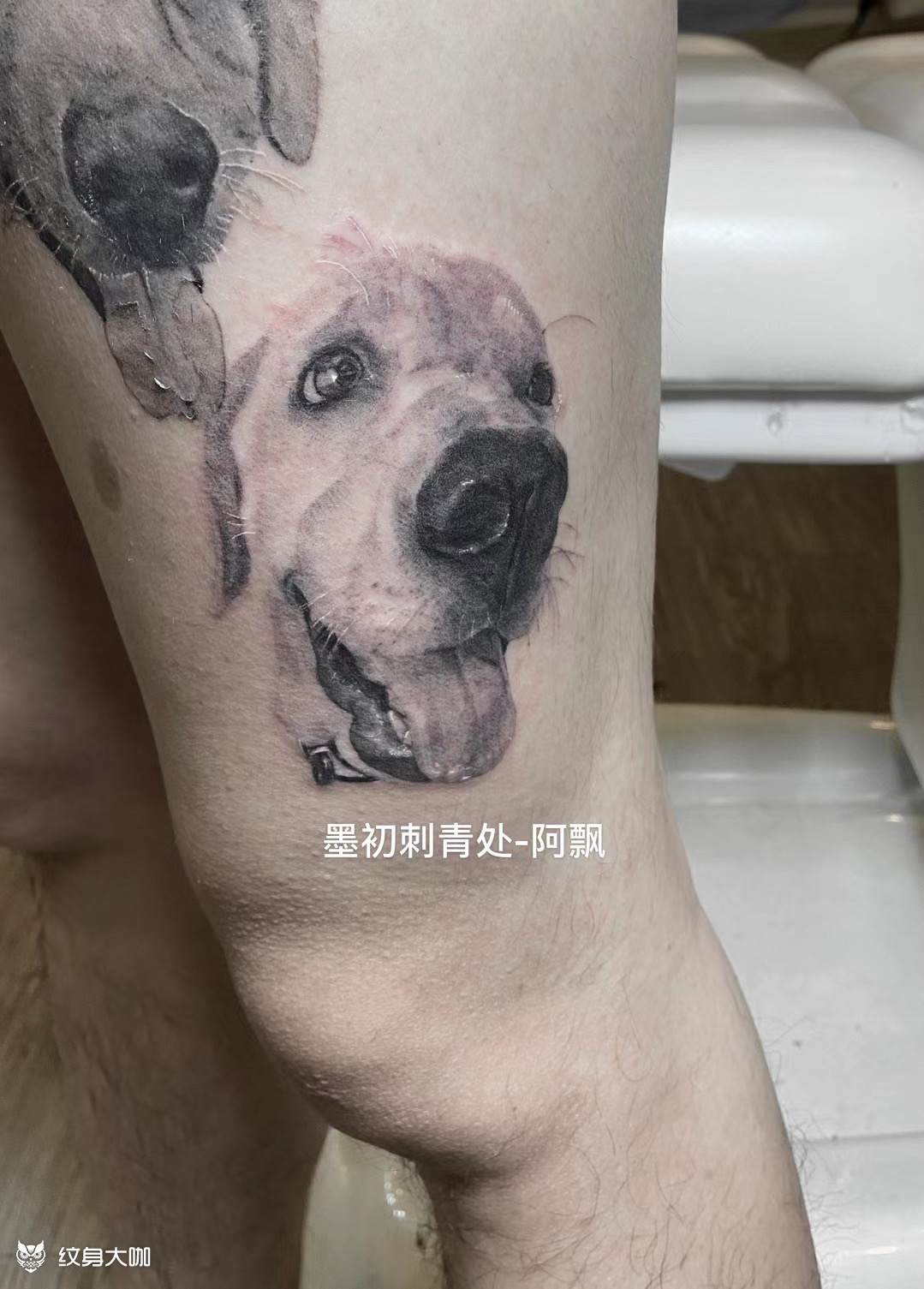 写实狗头串儿_纹身图案手稿图片_阿飘的纹身作品集