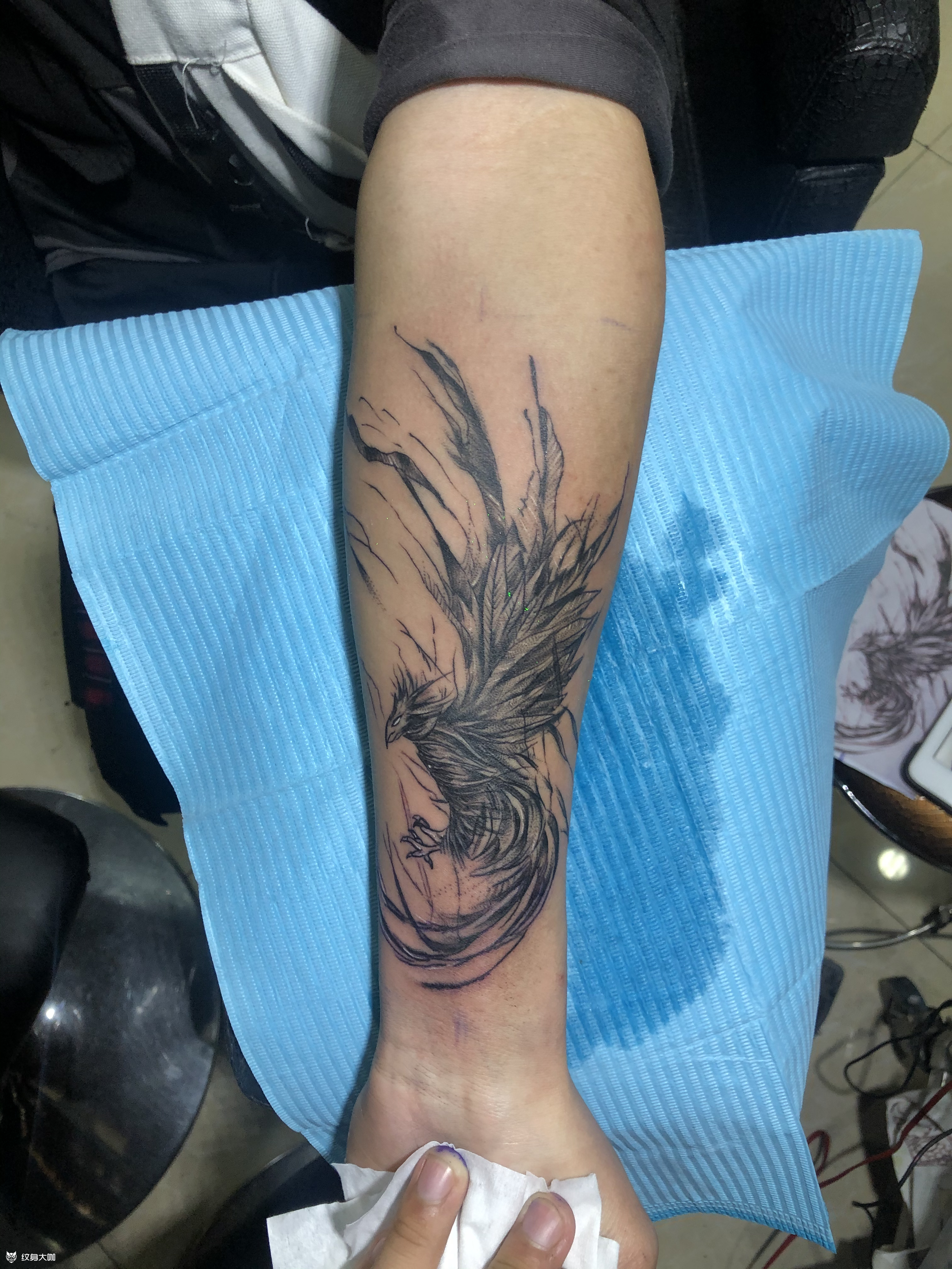 暗黑凤凰_纹身图案手稿图片_剑艺的纹身作品集