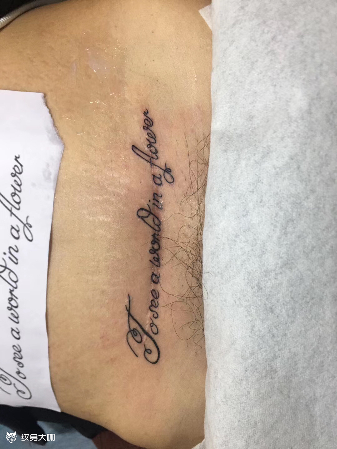 字母遮盖疤痕_纹身图案手稿图片_初代雕浪的纹身作品集
