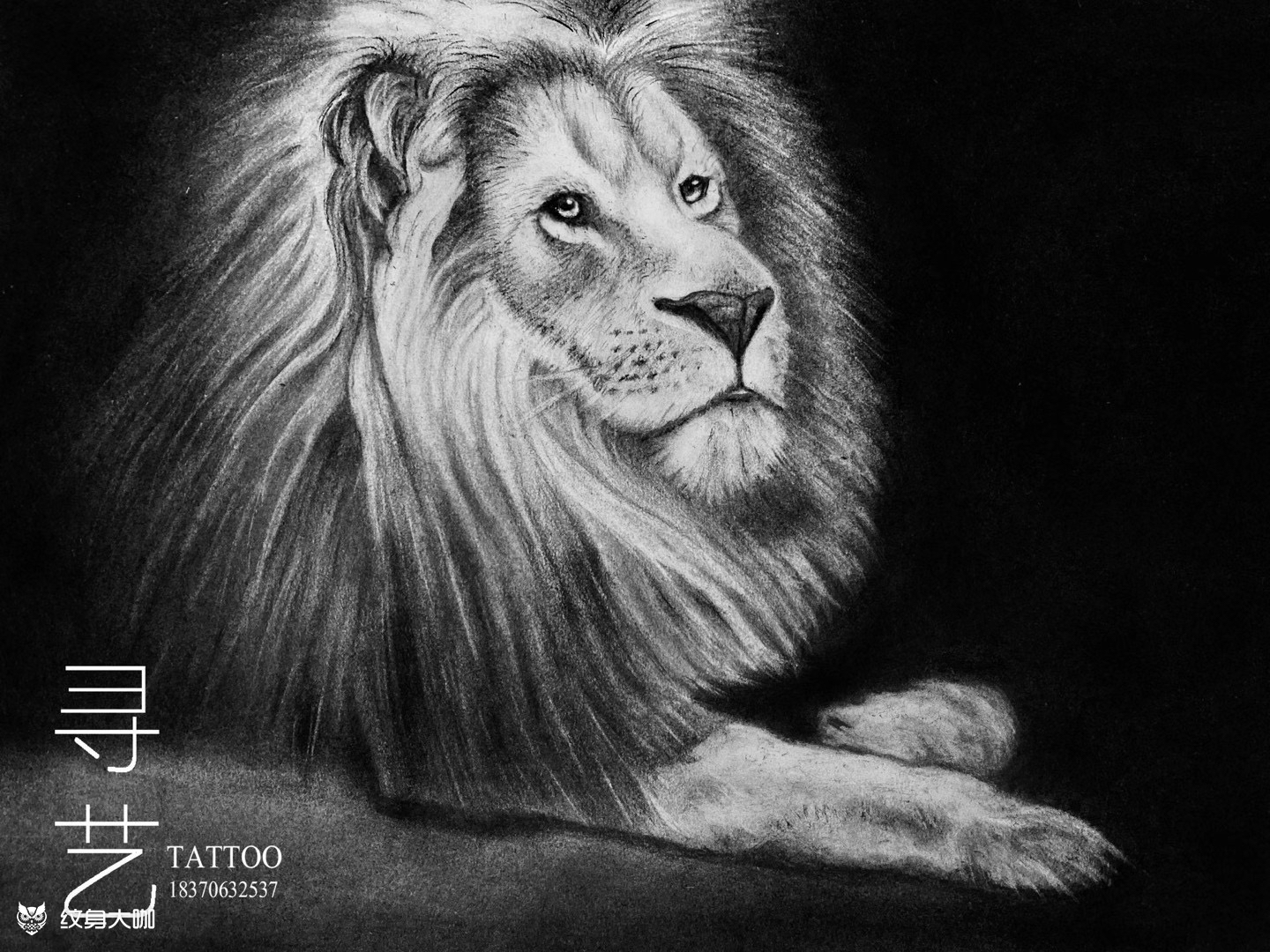 狮子素描