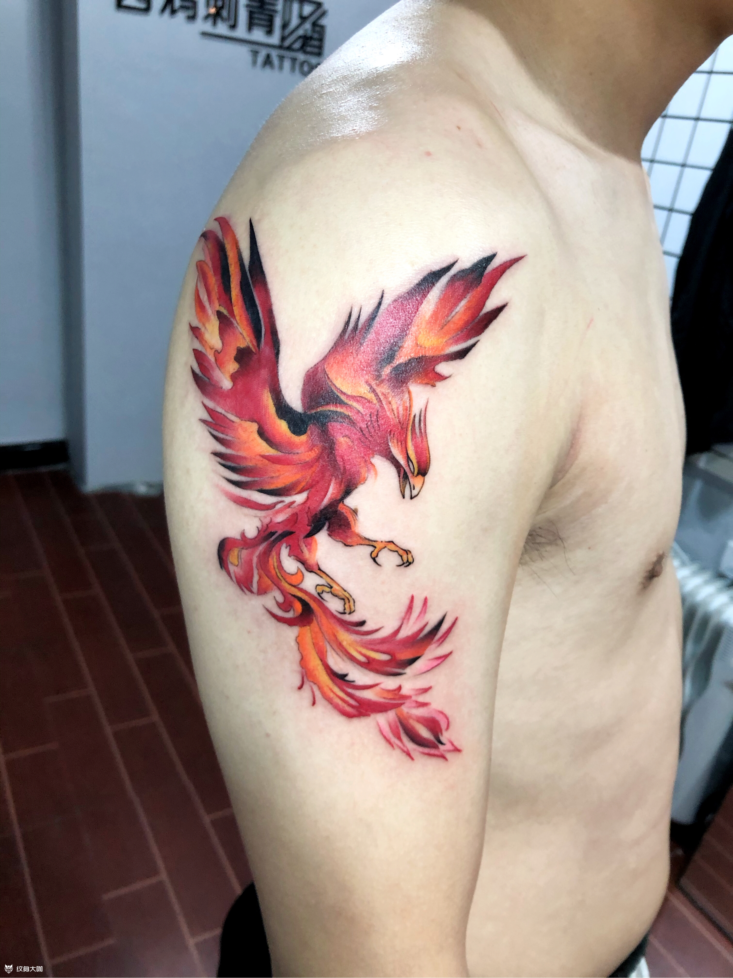 客人说是朱雀我觉得就是凤凰哈哈_纹身吧社区 - 纹身大咖