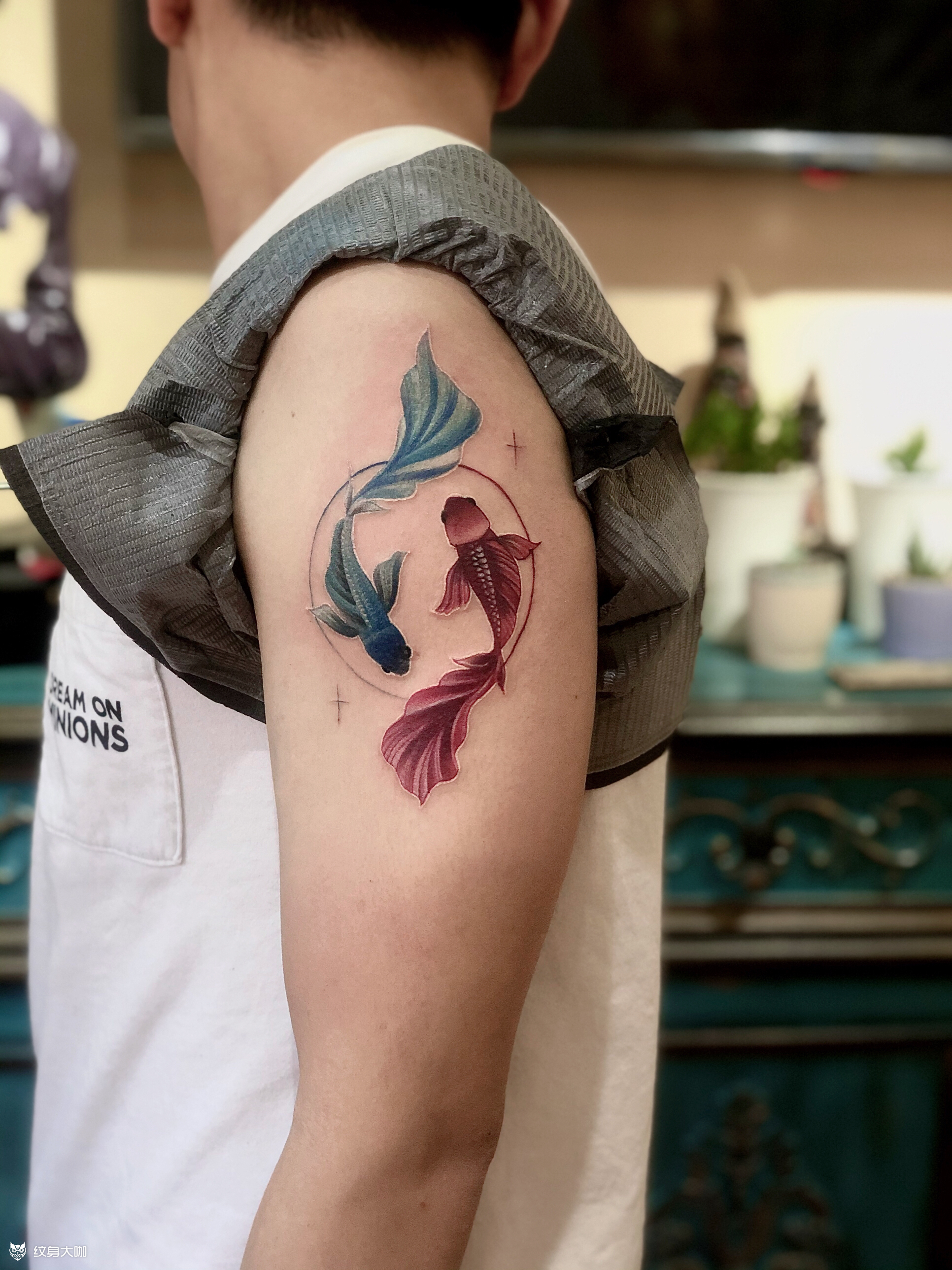 八卦金鱼_纹身图案手稿图片_北京针刺tattoo·杏的纹身作品集