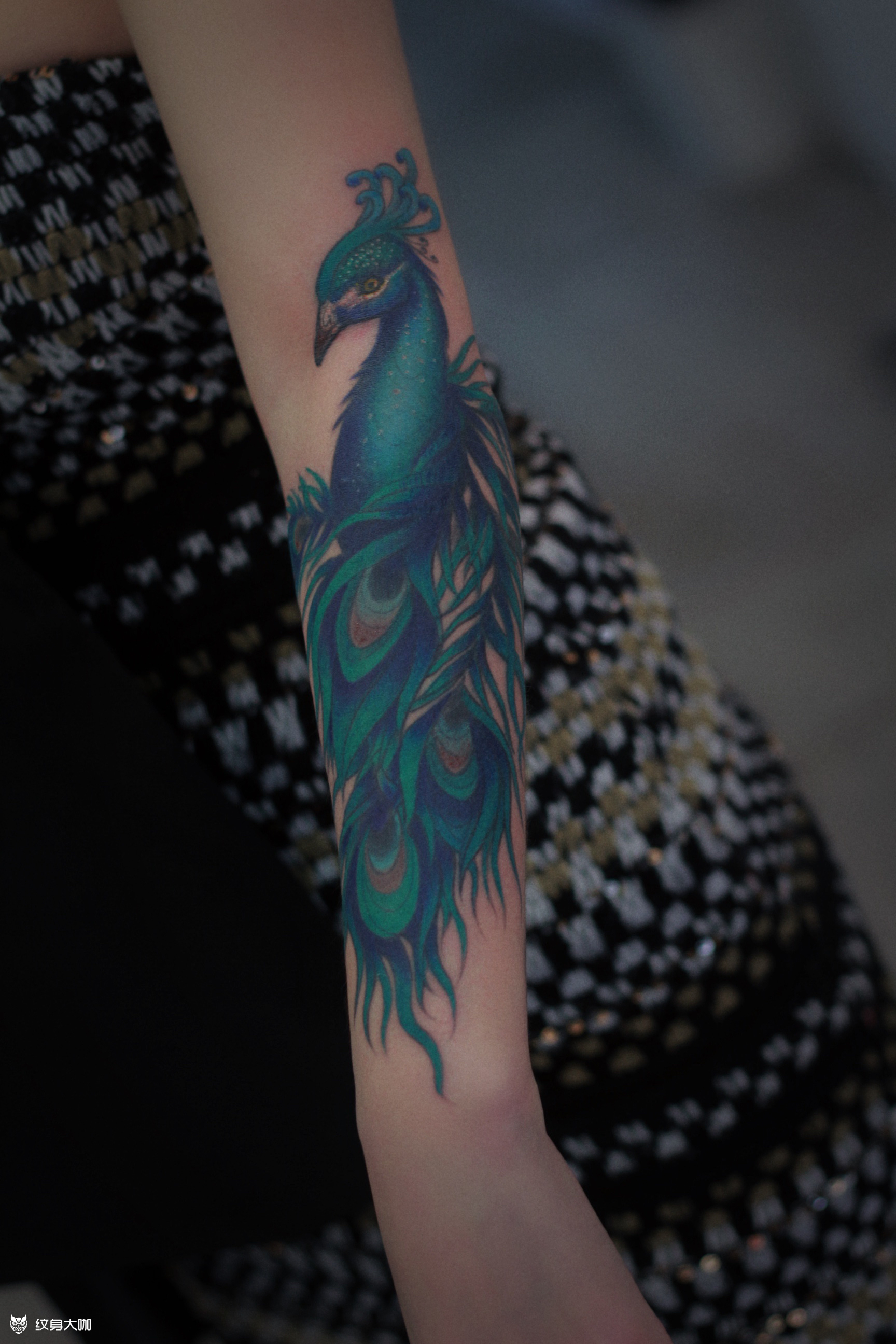 孔雀_纹身图案手稿图片_刘大鹏的纹身作品集