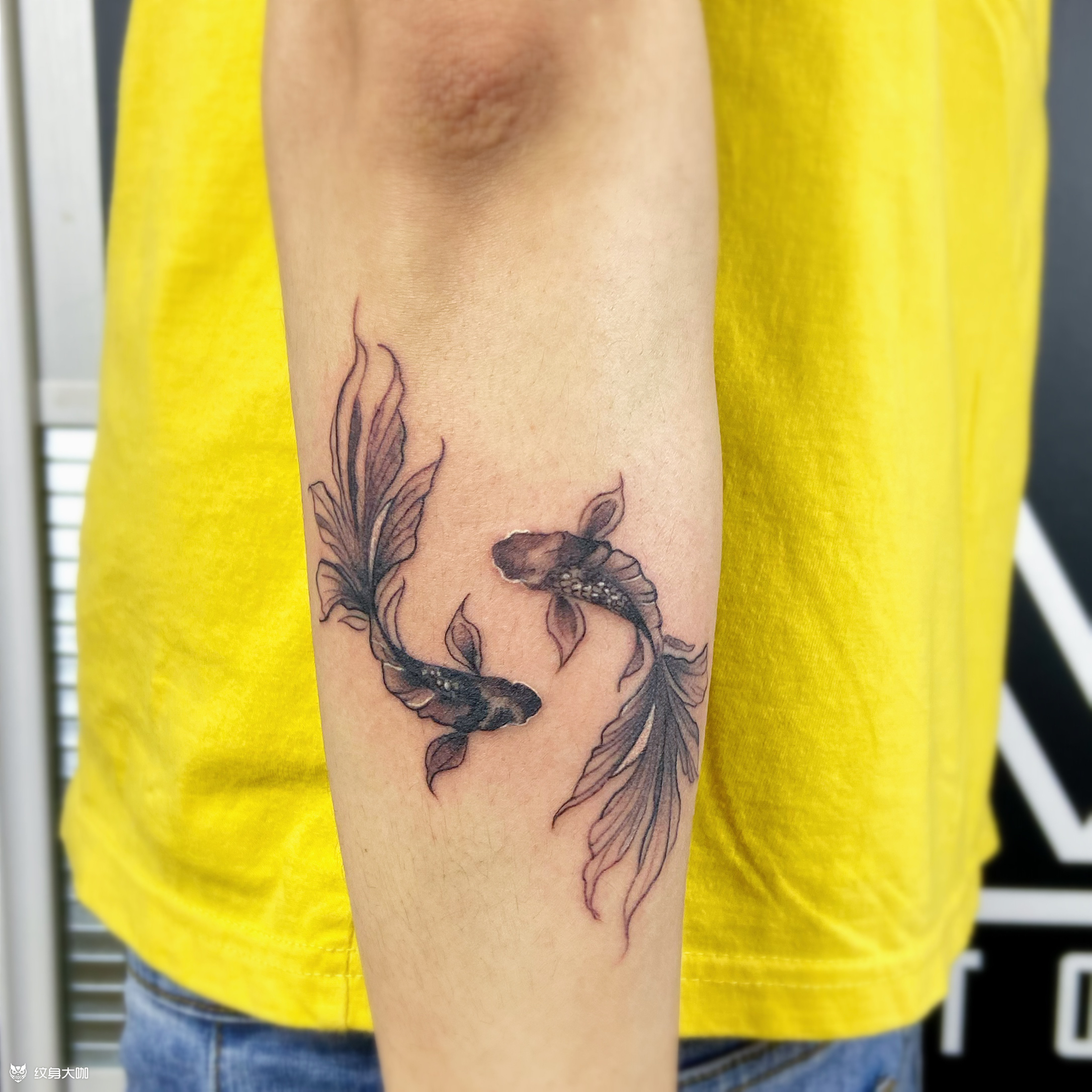 小清新鱼_纹身图案手稿图片_桃子momoko99的纹身作品集