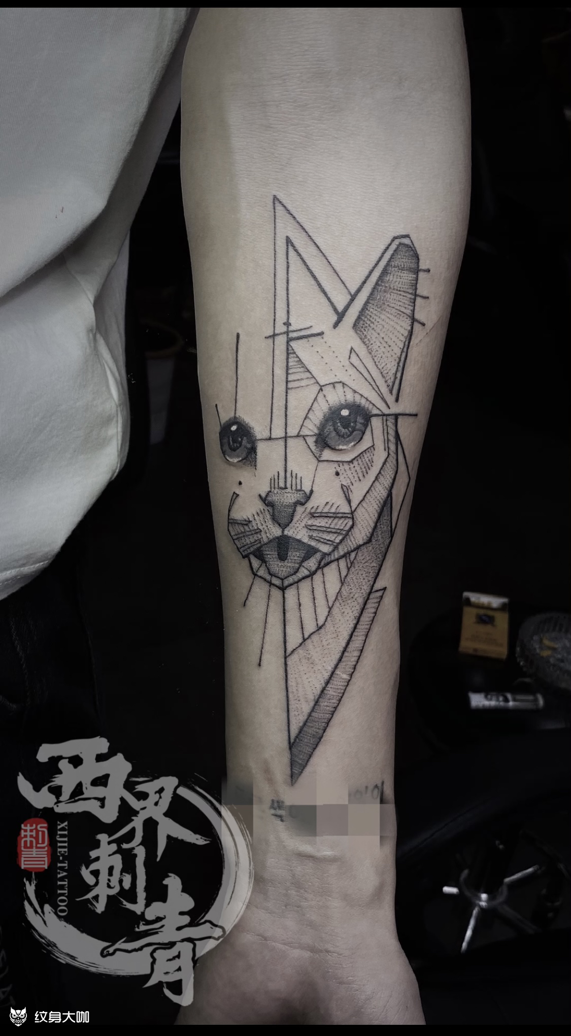 几何点刺猫_纹身图案手稿图片_燕郊西界的纹身作品集