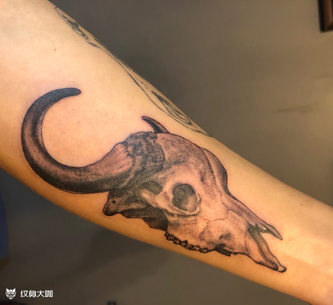 牛头骨_纹身图案手稿图片_文艺复兴的纹身作品集