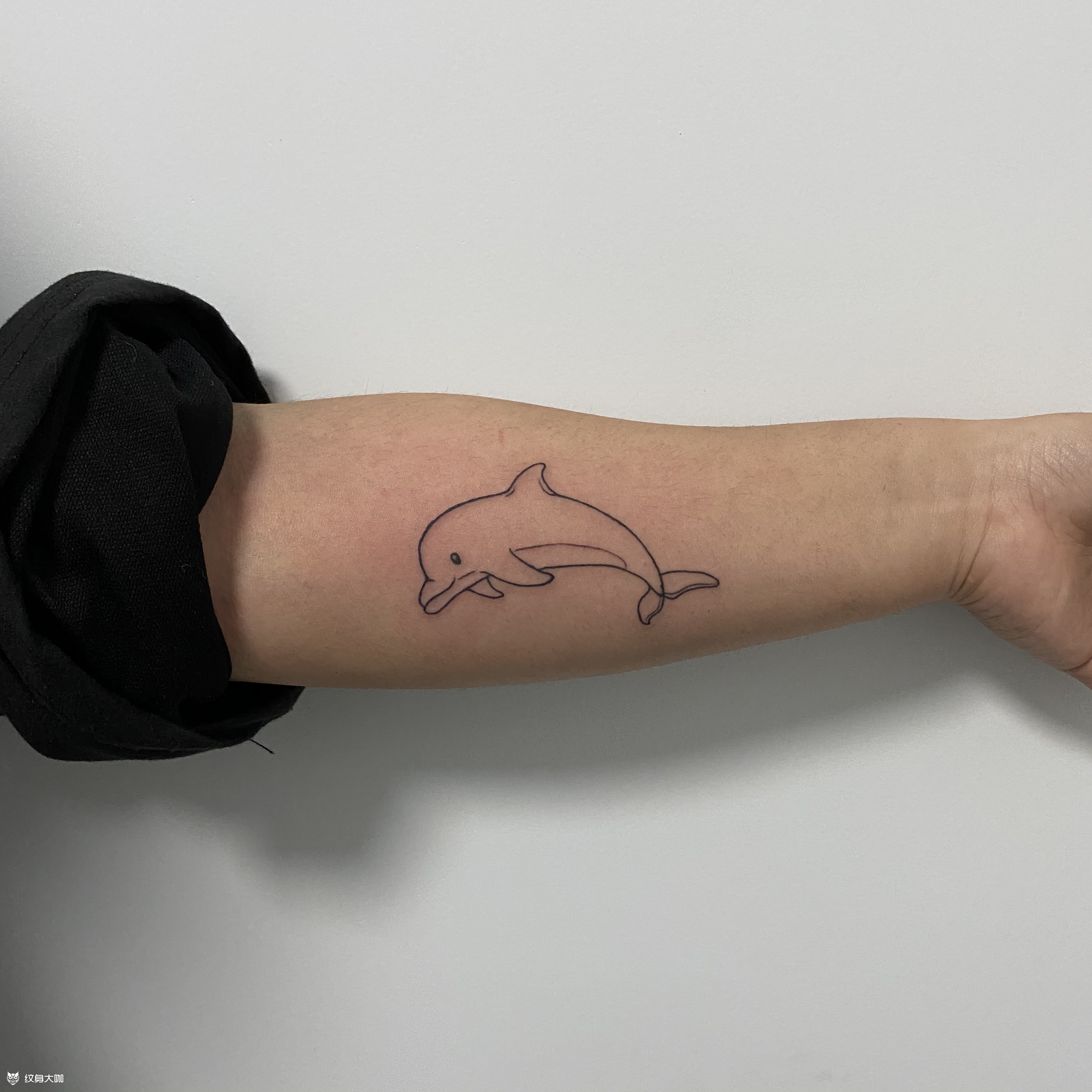 海豚98_纹身图案手稿图片_高家奇的纹身作品集