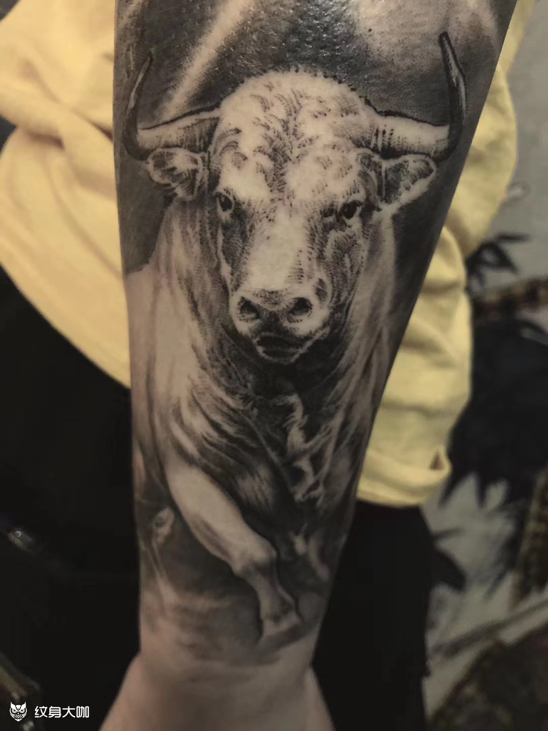 胳膊牛头纹身图片大全图片