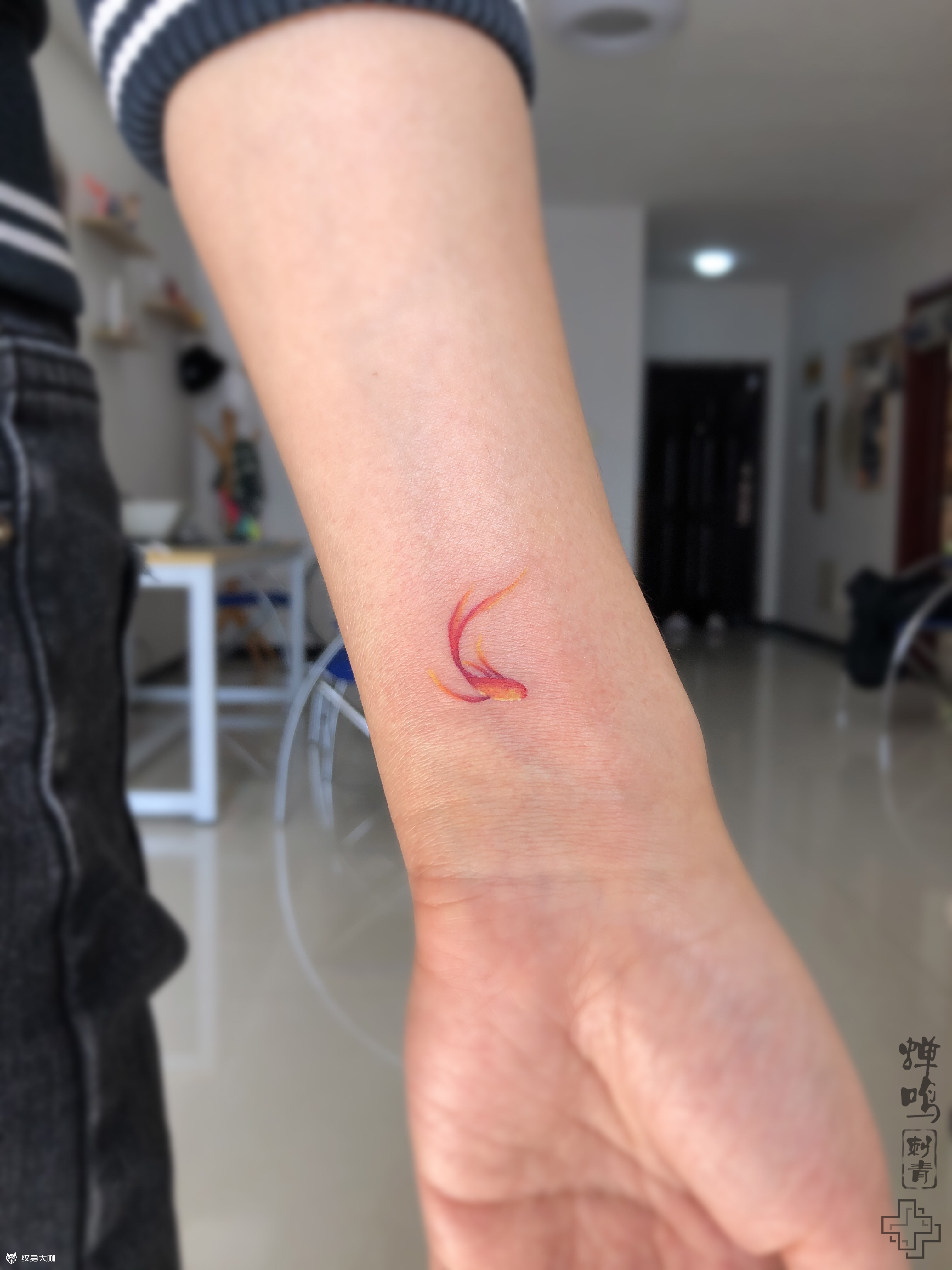 小金鱼_纹身图案手稿图片_知了的纹身作品集