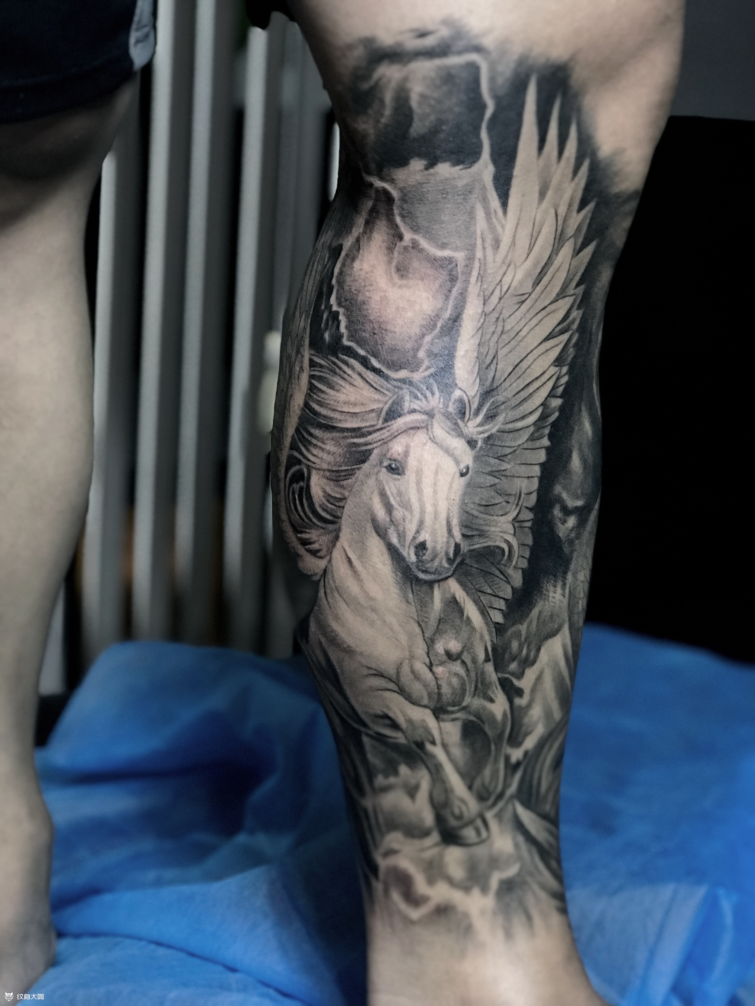 写实马_纹身图案手稿图片_康培民的纹身作品集