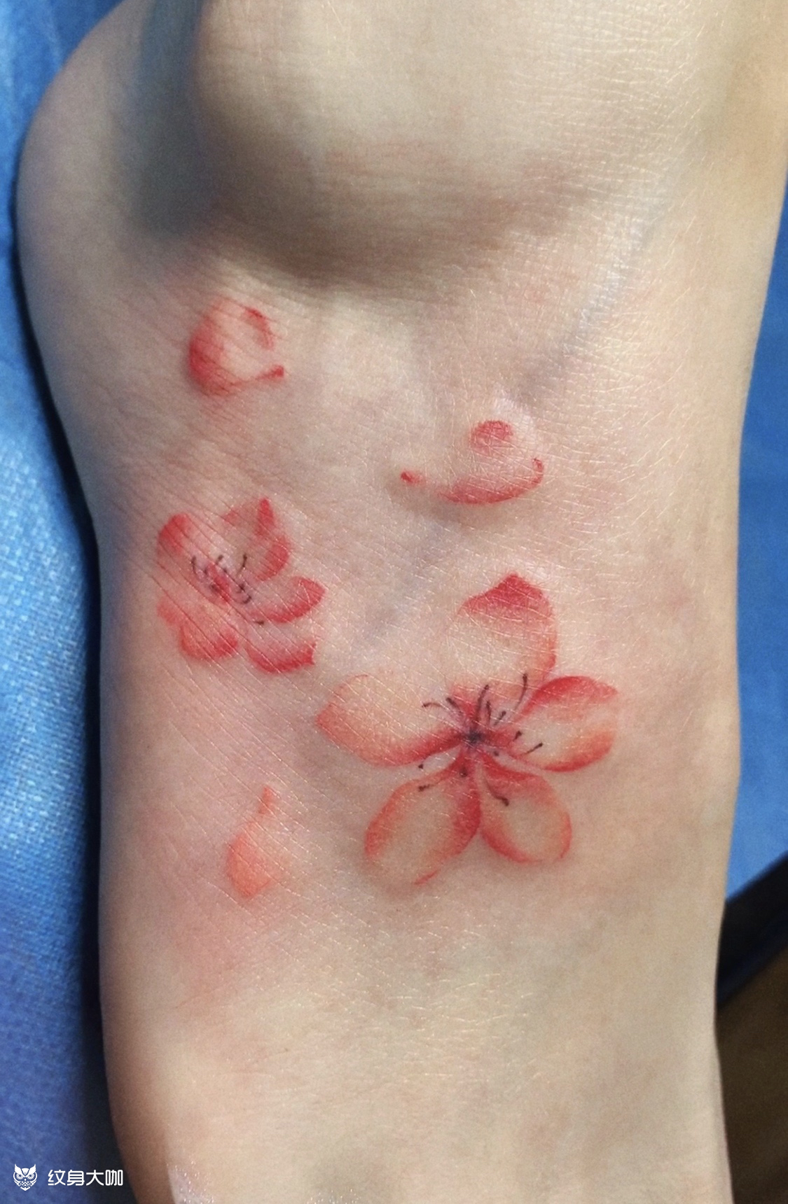 脚背樱花_纹身图案手稿图片_赵钰的纹身作品集