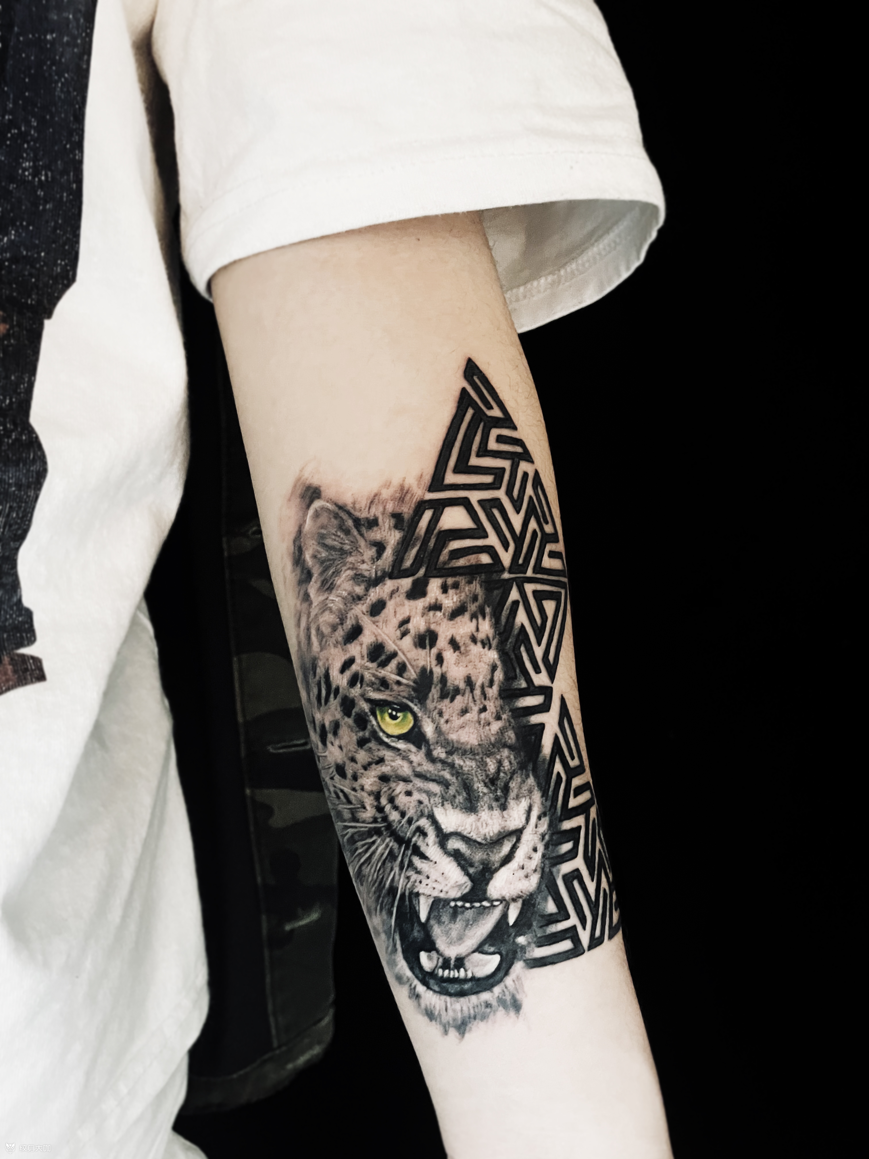 写实豹子_纹身图案手稿图片_邹佳丽的纹身作品集