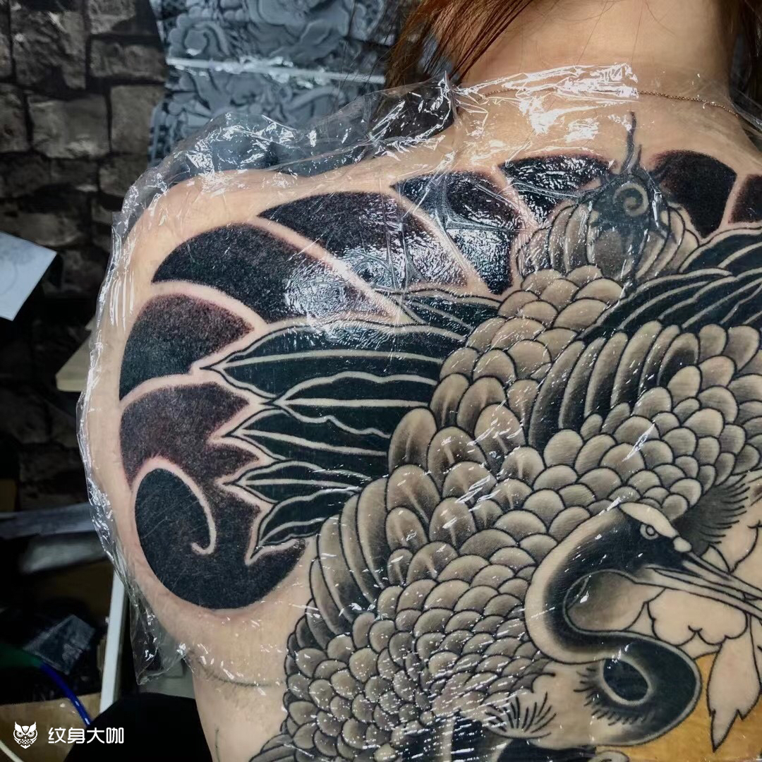 日式满背 日式满背 女士 双仙鹤3月29日 17点米卡纹身圈
