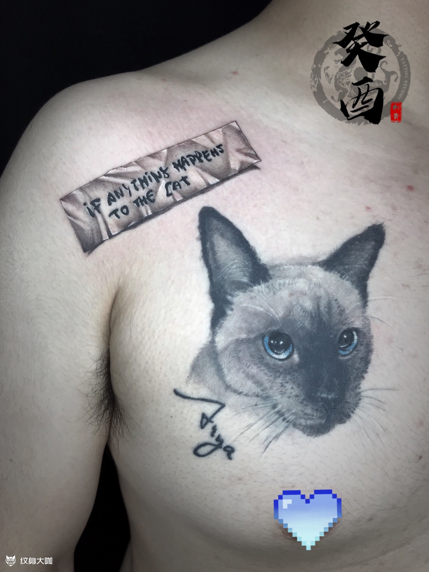 作品简介:加班小作,"小纸条"一枚.下面的"暹罗猫"为17年所作.