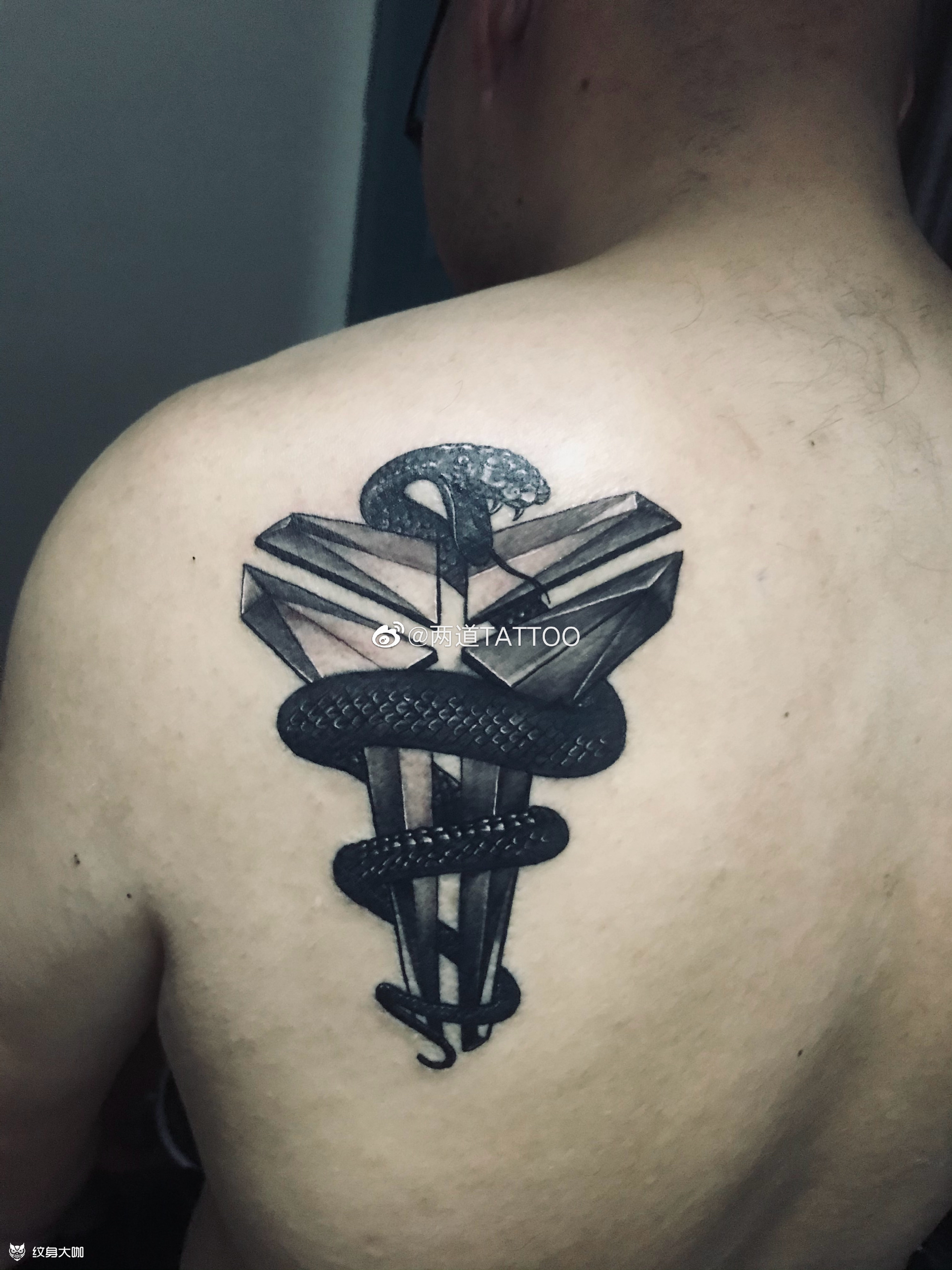 科比纹身黑曼巴