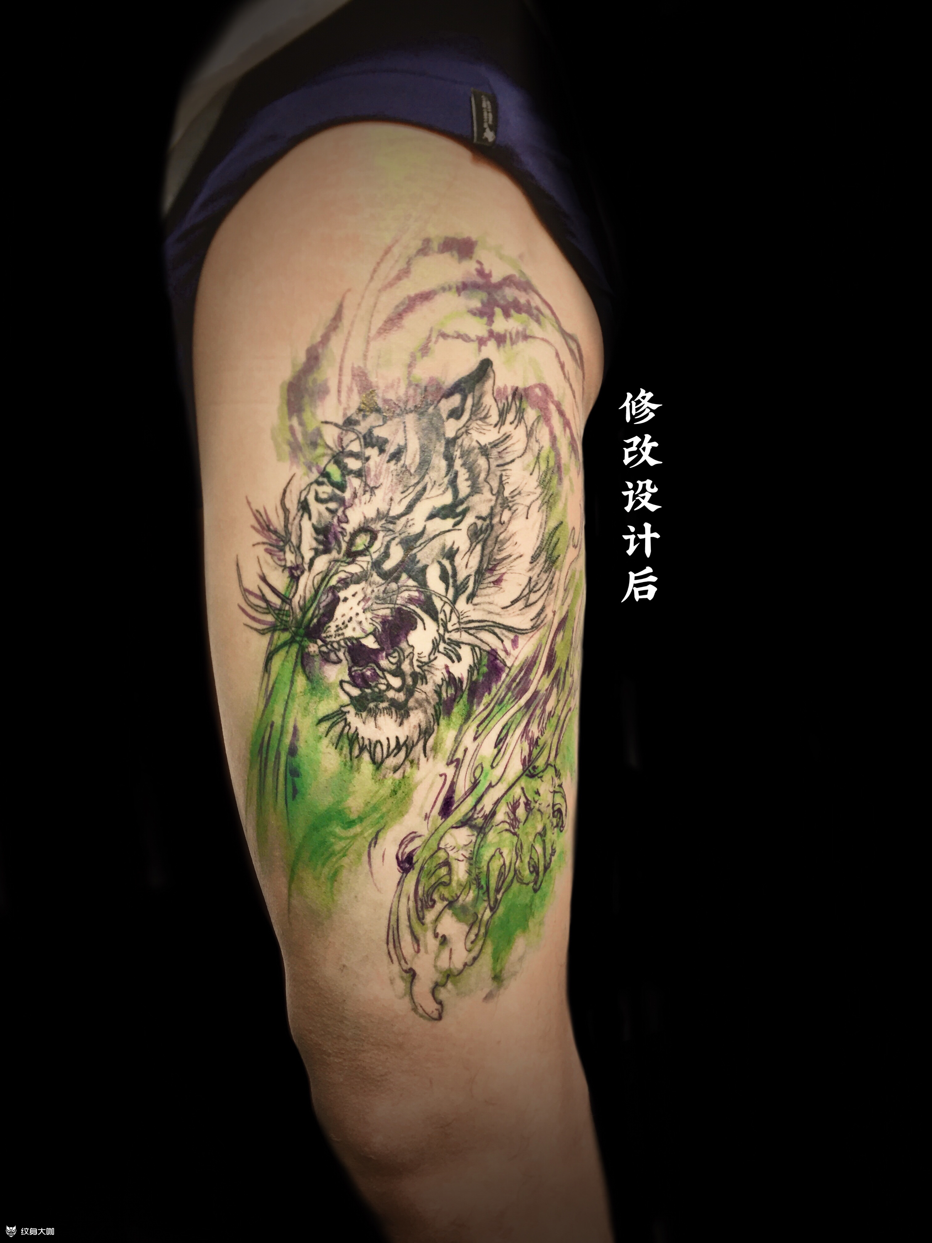 老虎_纹身图案手稿图片_和尚的纹身作品集