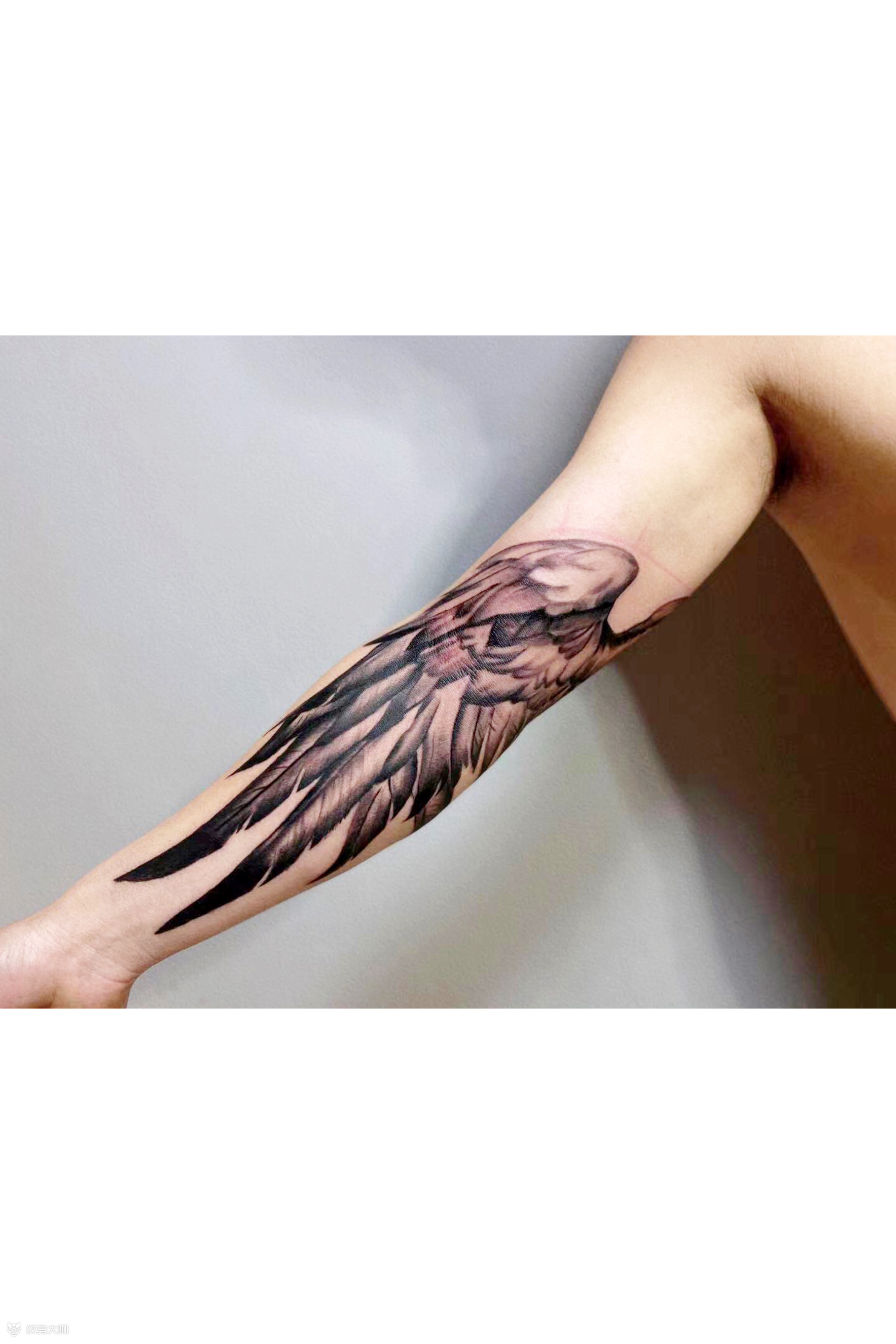 翅膀羽翼_纹身吧社区 - 纹身大咖