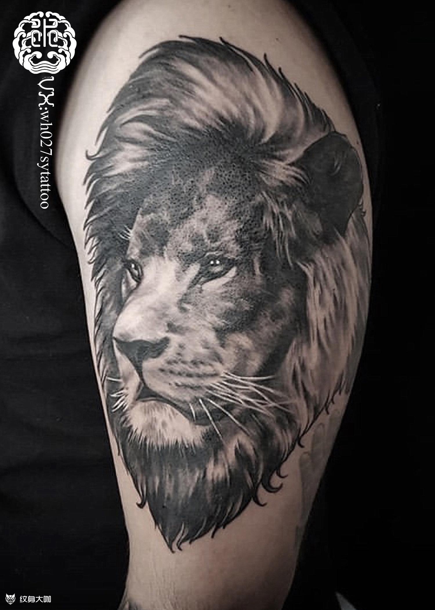 狮子头_纹身图案手稿图片_水异的纹身作品集