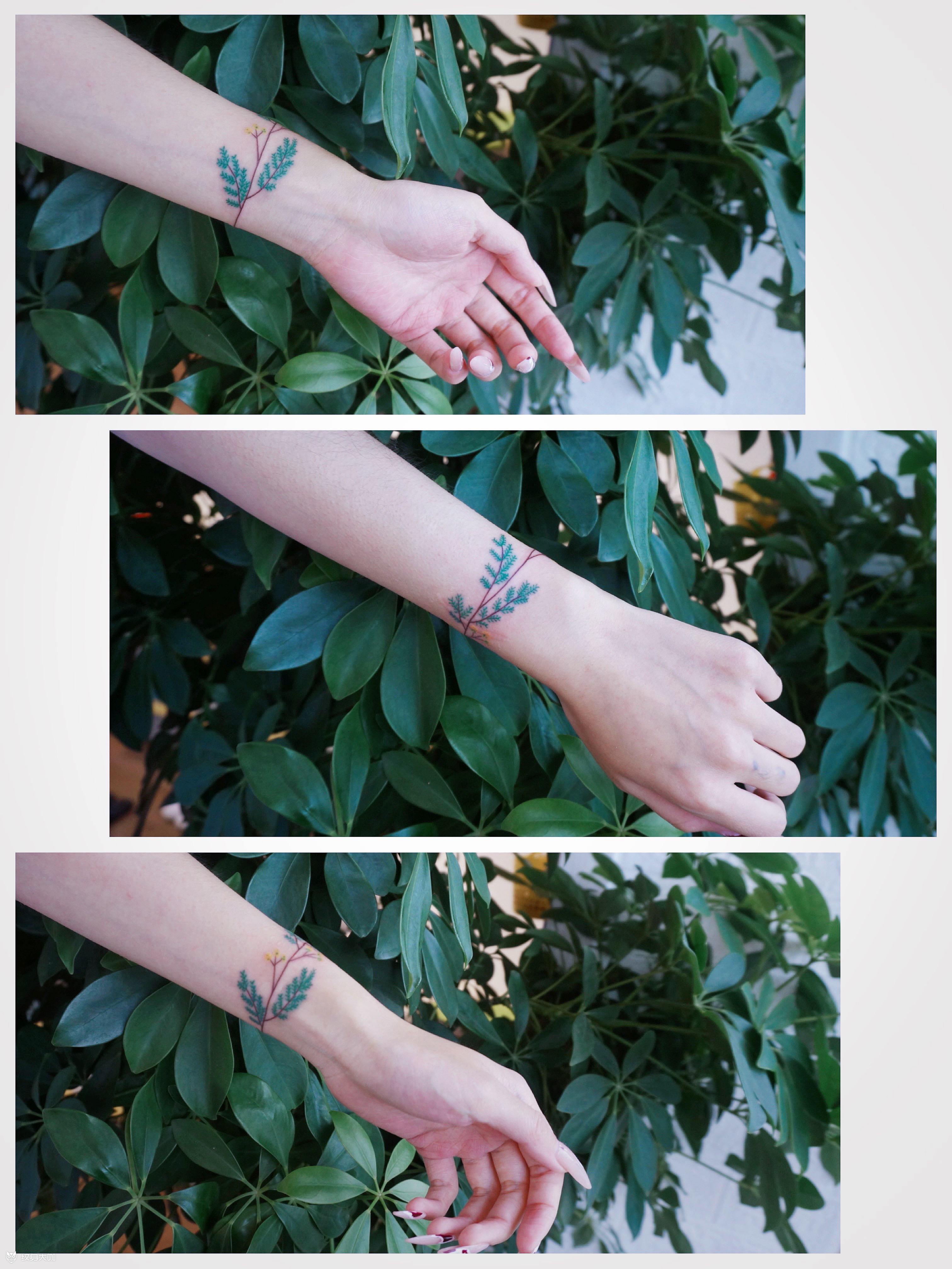 手环遮盖疤痕_纹身图案手稿图片_木禾—小欧的纹身作品集