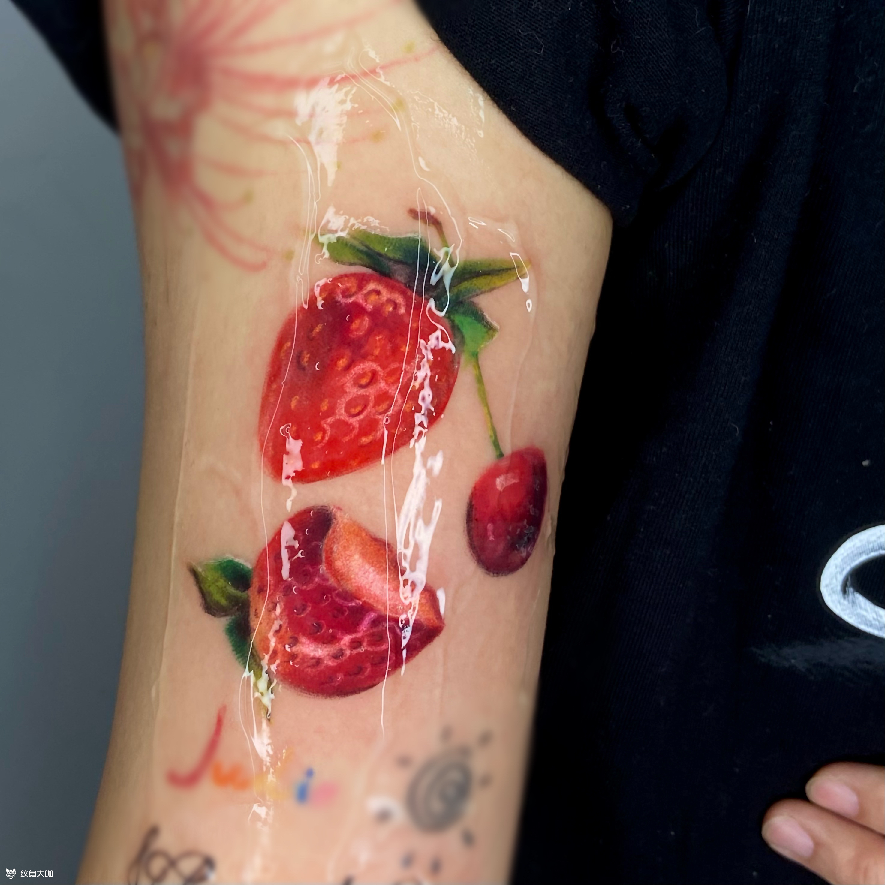 草莓_纹身图案手稿图片_千贺宗任亮的纹身作品集