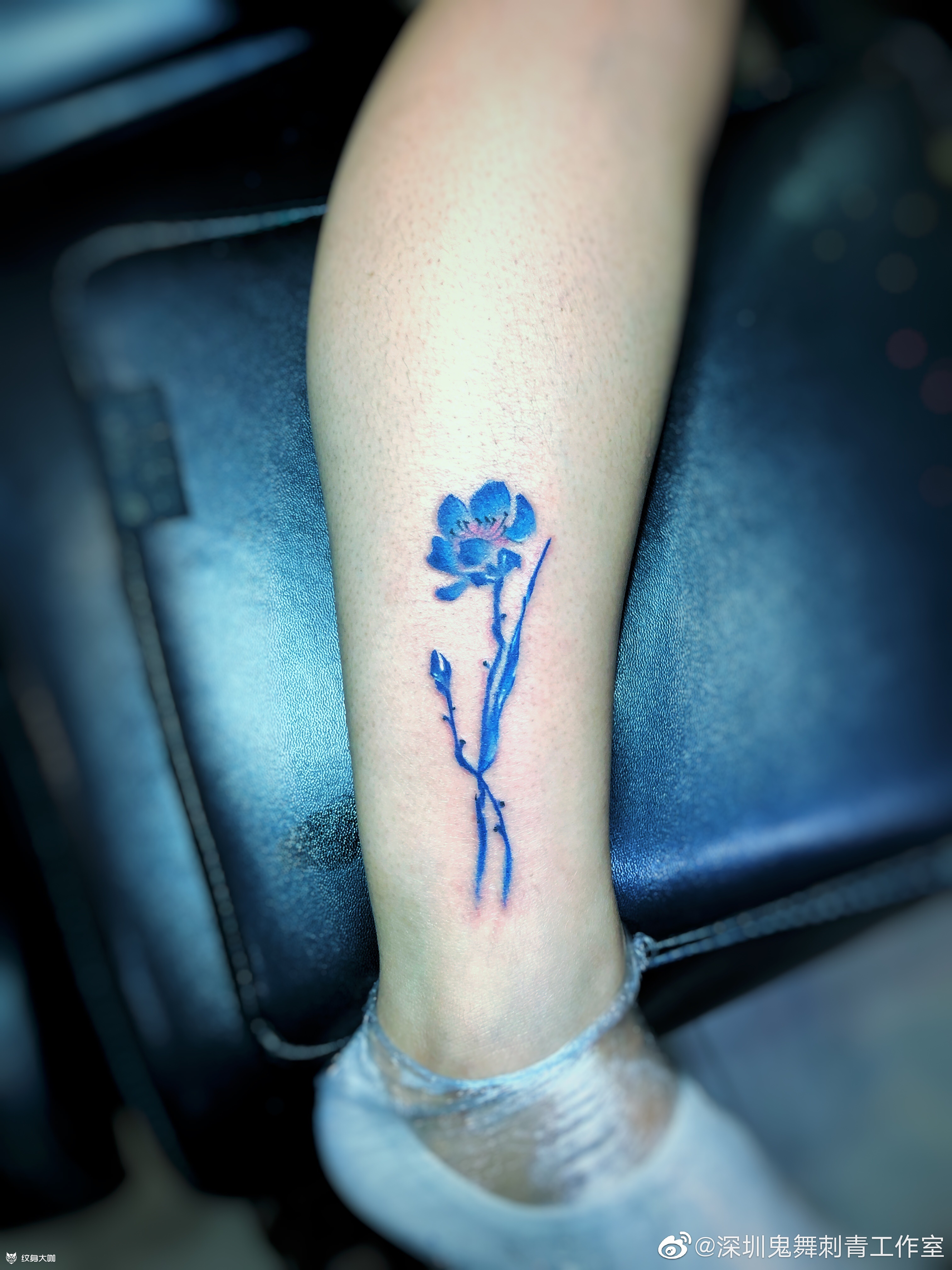 蓝莲花_纹身图案手稿图片_老鬼的纹身作品集