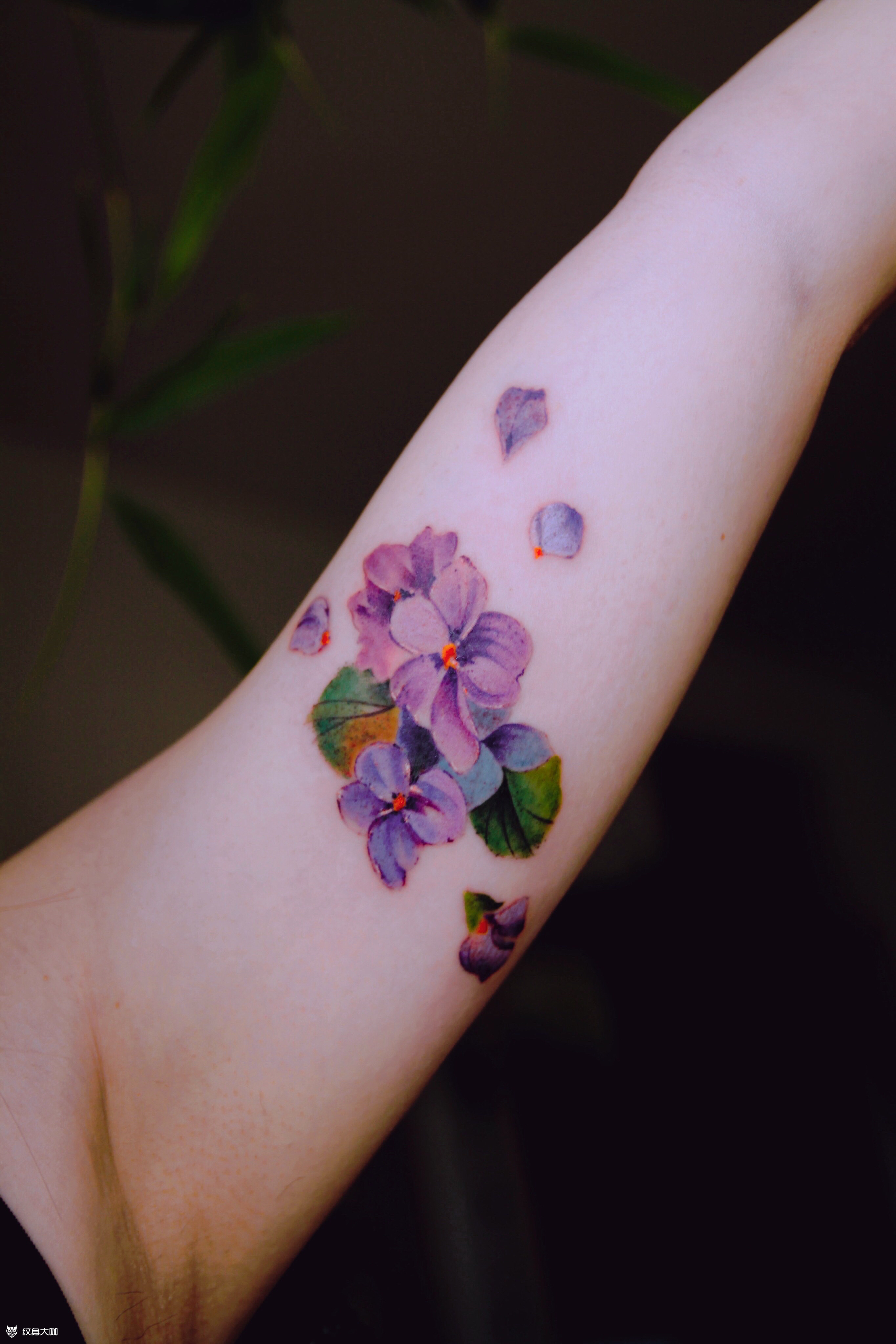 紫罗兰_纹身图案手稿图片_子木的纹身作品集