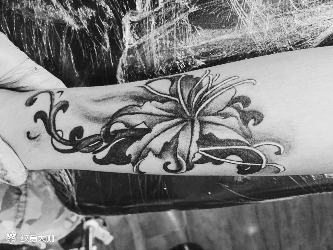 彼岸花黑白_纹身图案手稿图片_颖颖的纹身作品集