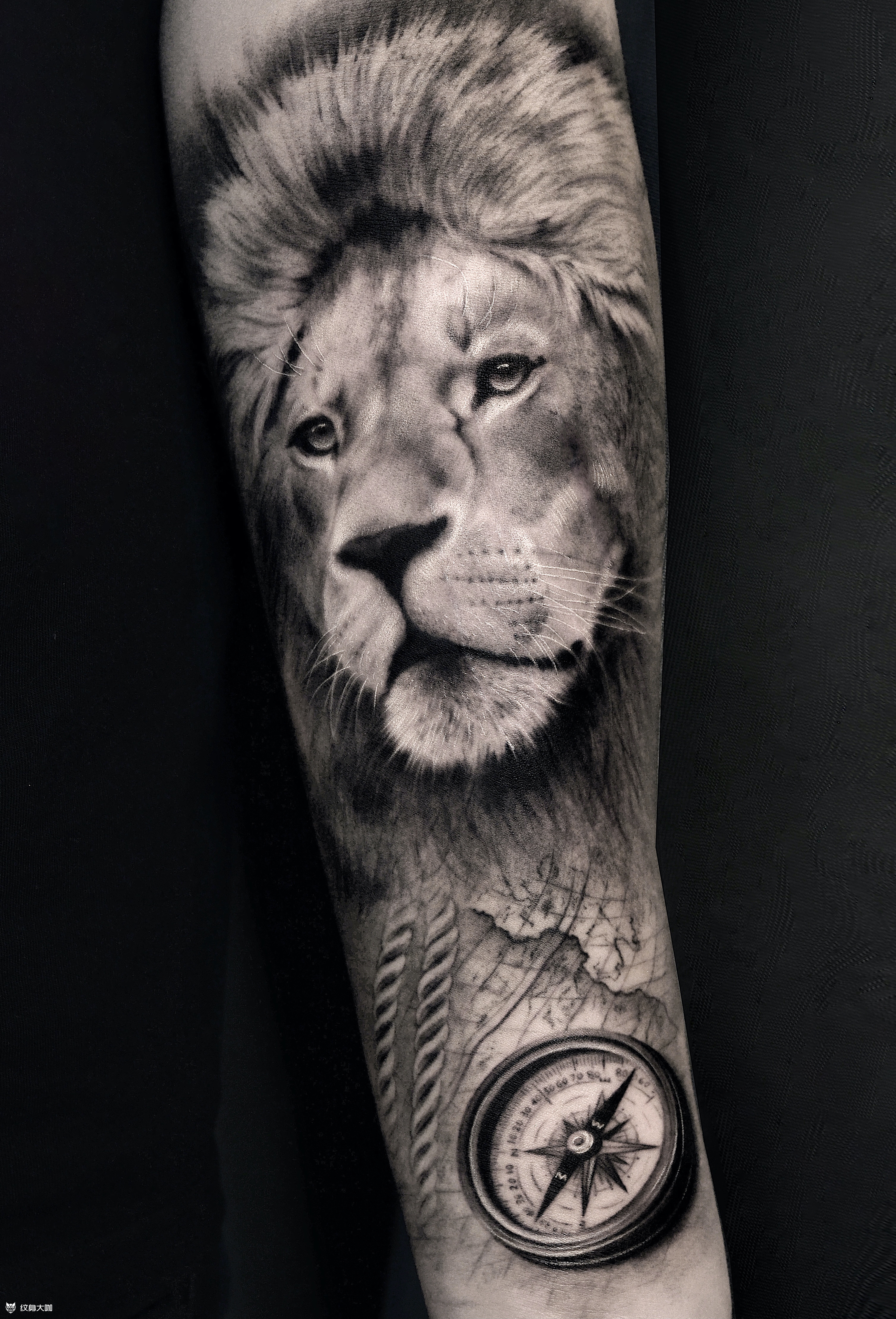 小臂内侧狮子_纹身图案手稿图片_陈彦伊的纹身作品集