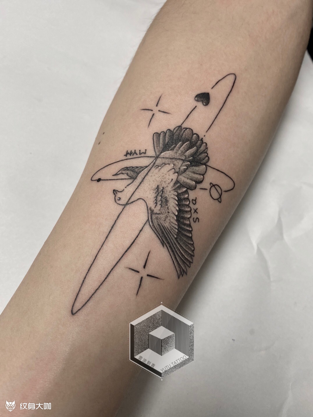 鸽子_纹身图案手稿图片_段梦雅的纹身作品集