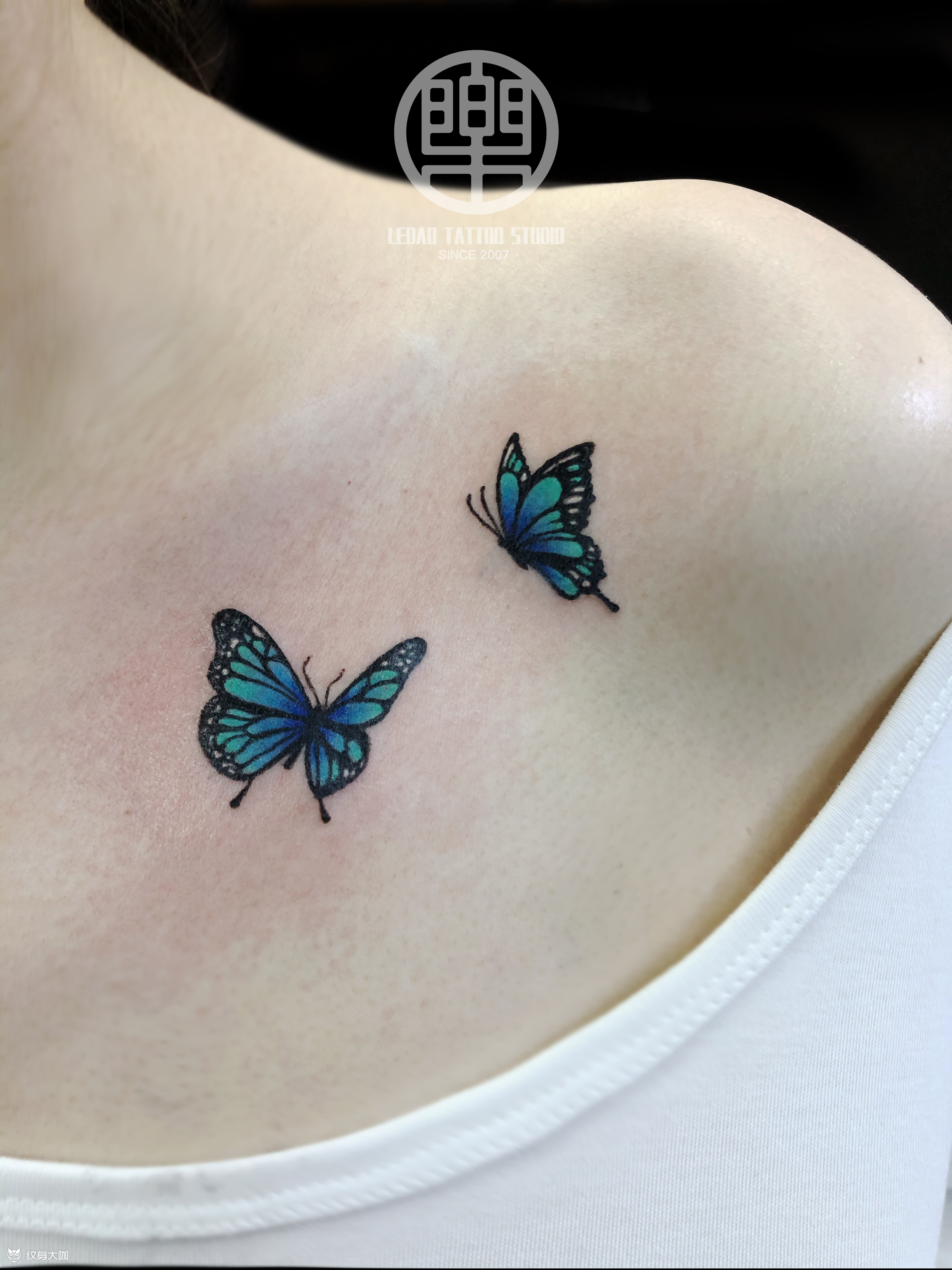 蝴蝶_纹身图案手稿图片_孙明乐的纹身作品集