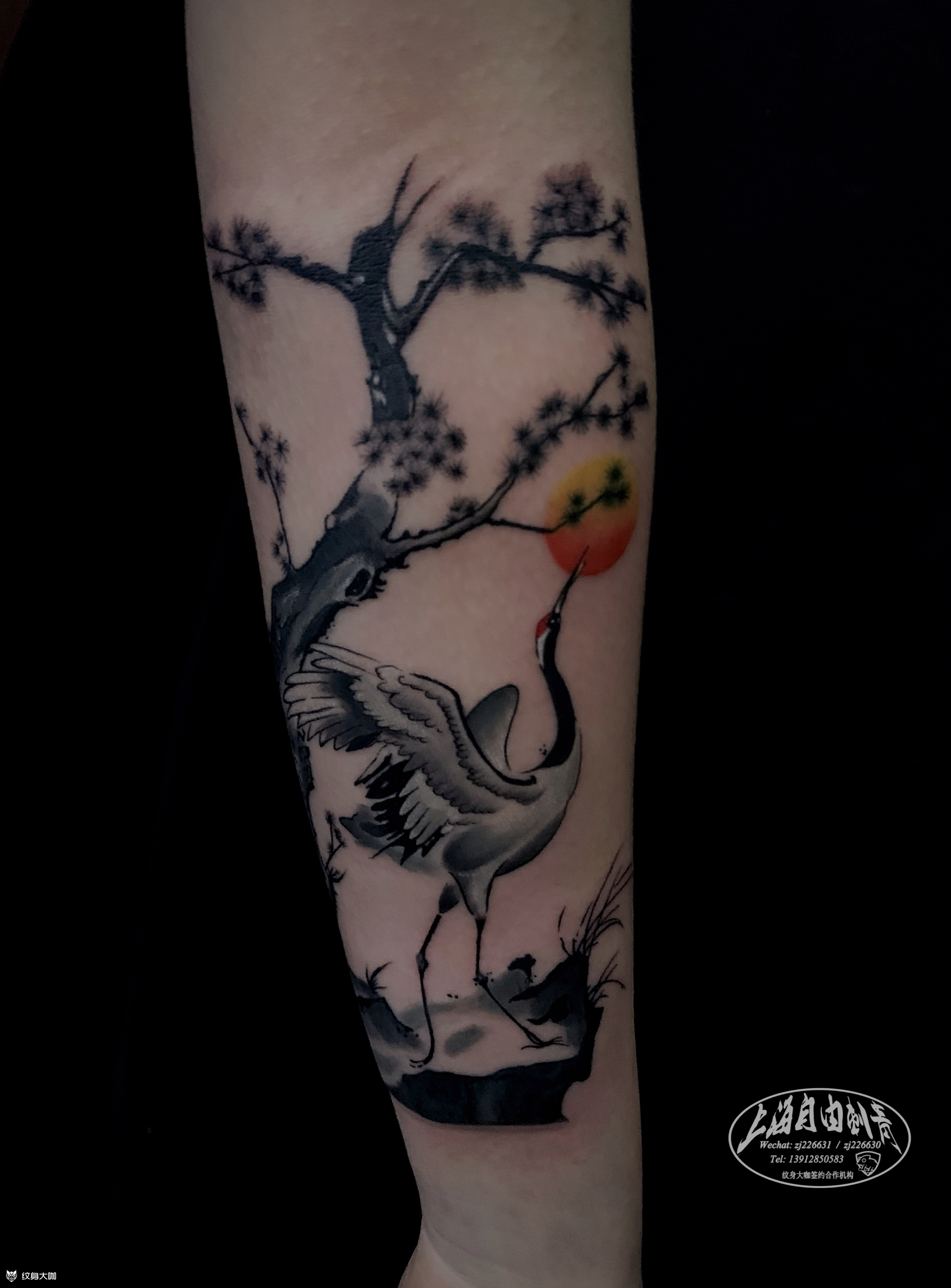 仙鹤_纹身图案手稿图片_自由的纹身作品集