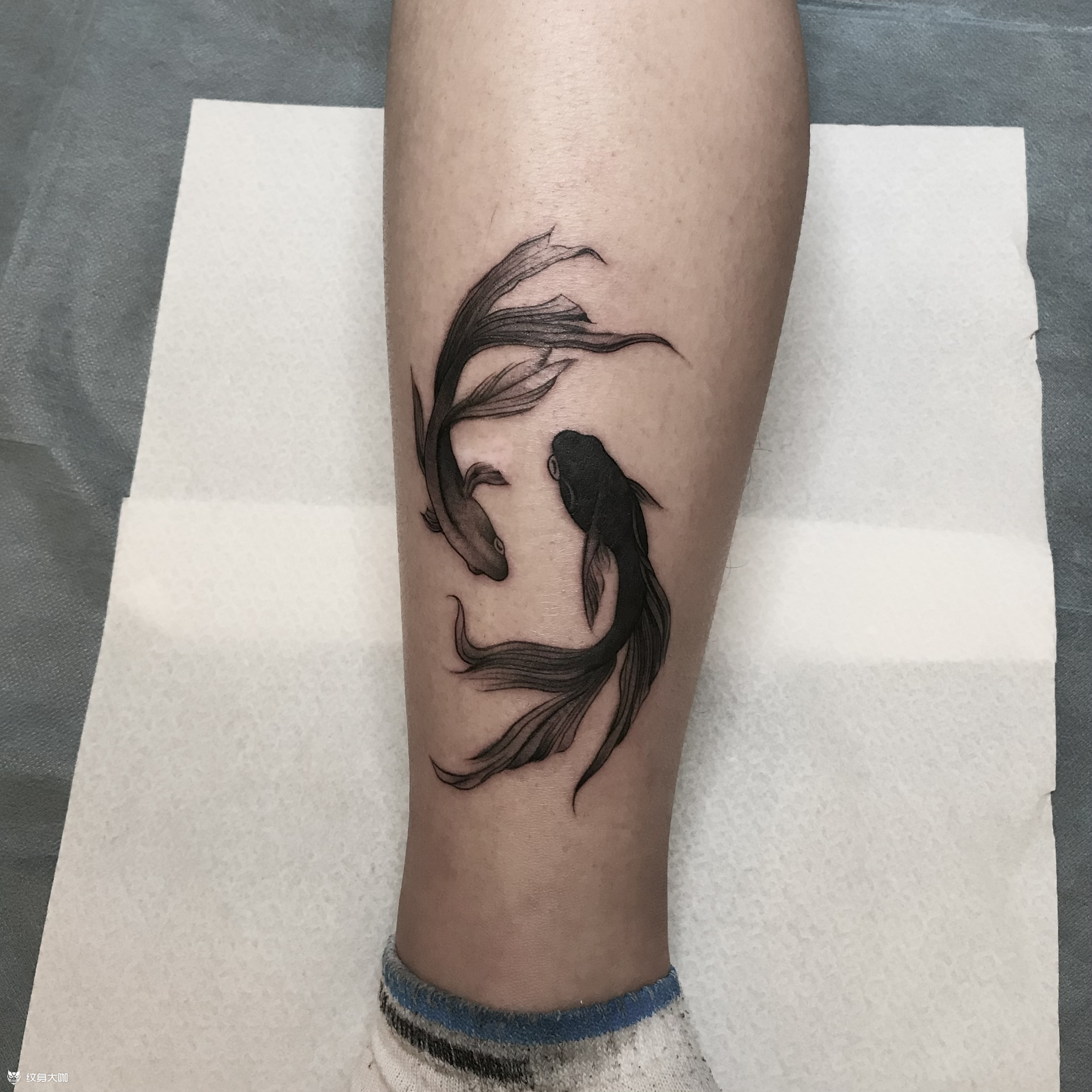 鱼_纹身图案手稿图片_ce的纹身作品集