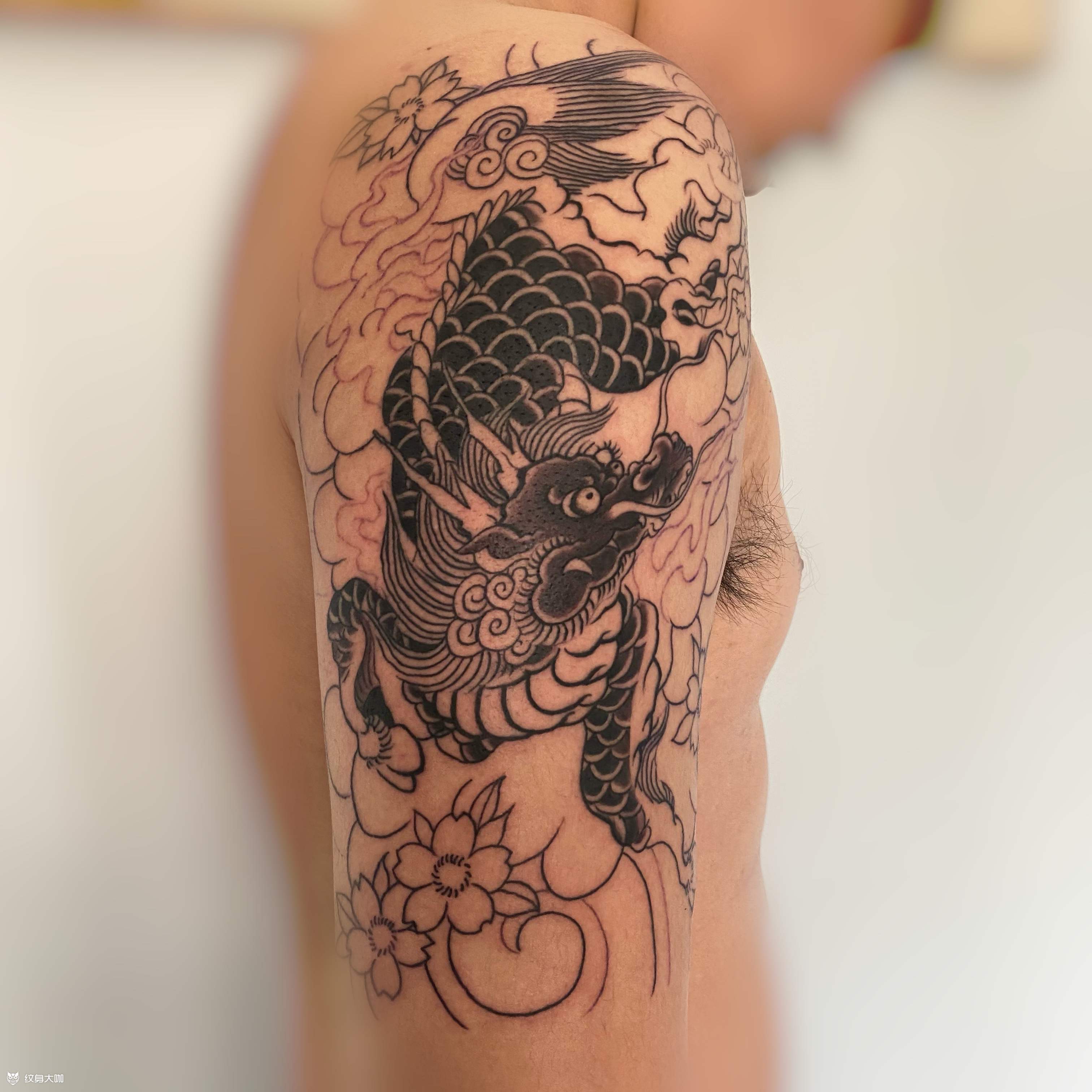 老传统麒麟_纹身图案手稿图片_高家奇的纹身作品集