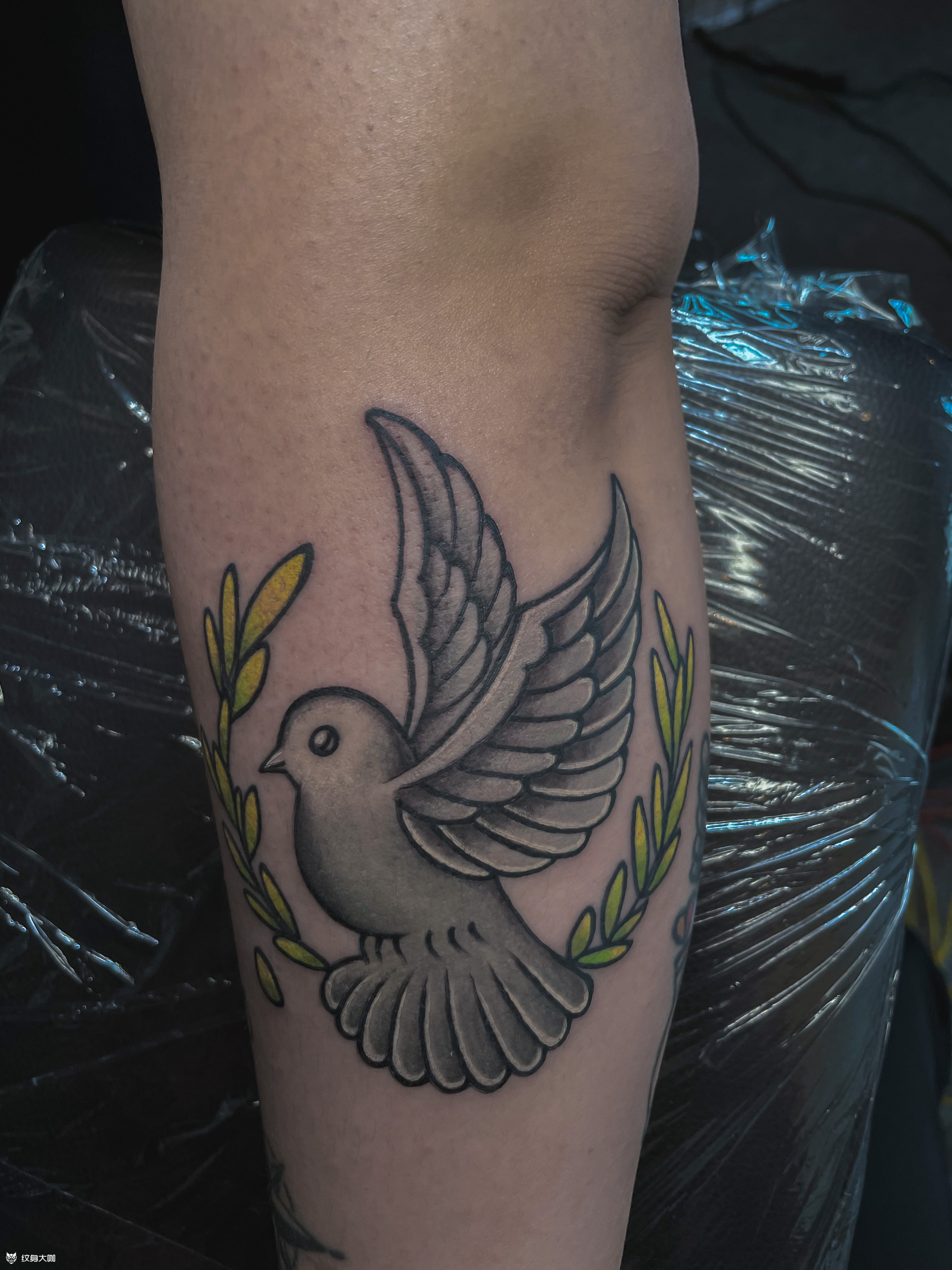 school灰鸽子_纹身图案手稿图片_也农的纹身作品集