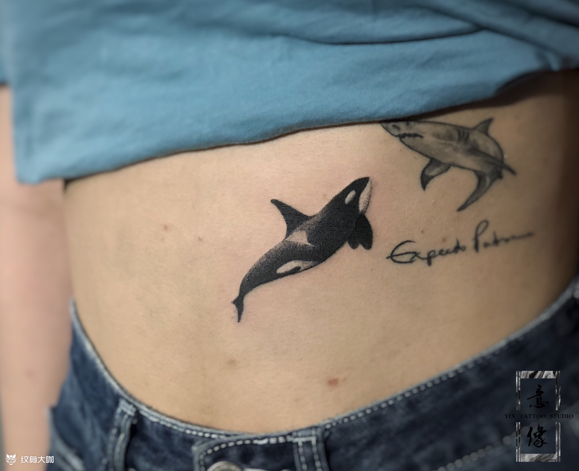 虎鲸_纹身图案手稿图片_意像的纹身作品集