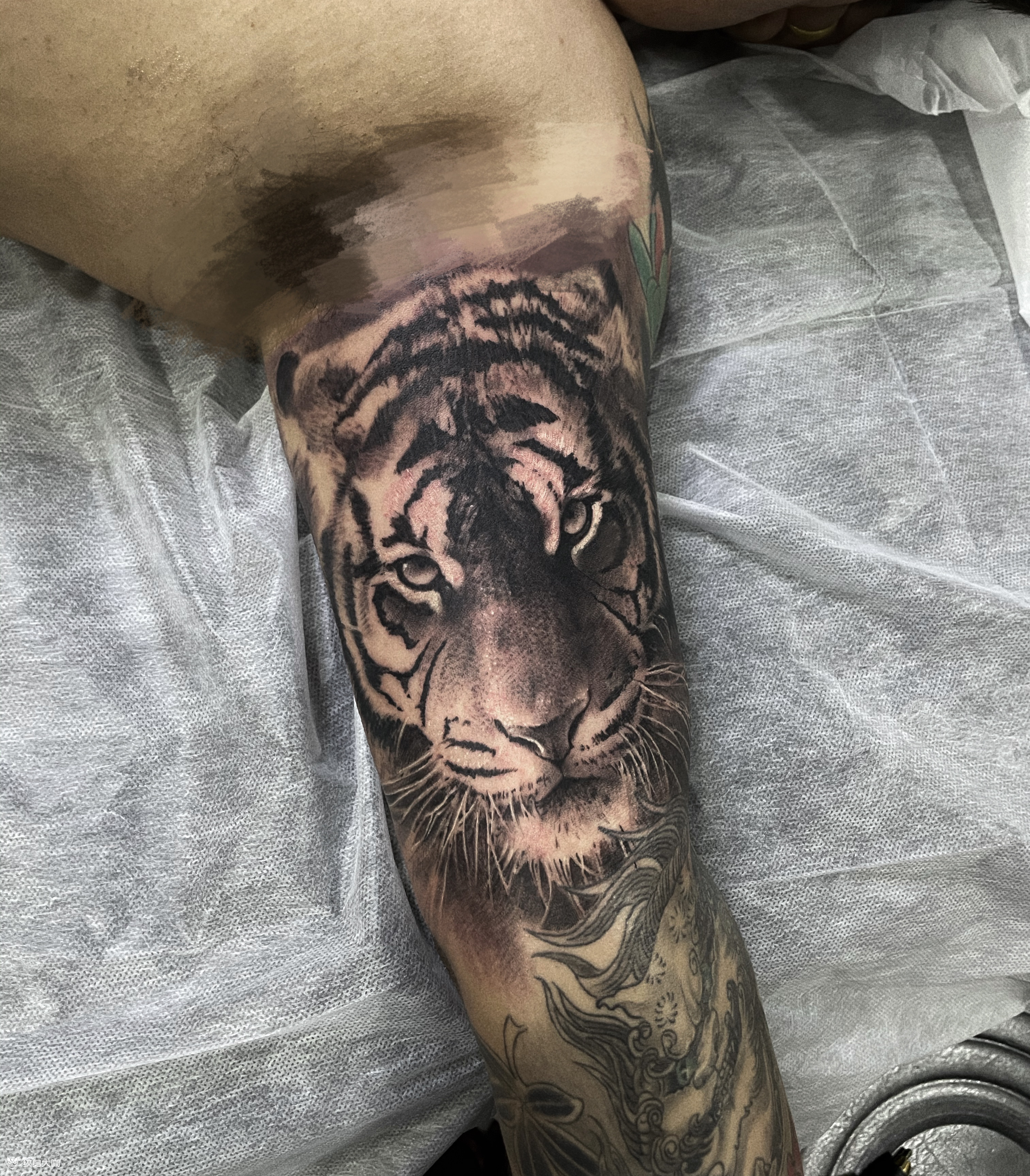 老虎_纹身图案手稿图片_济南炫腾张远的纹身作品集
