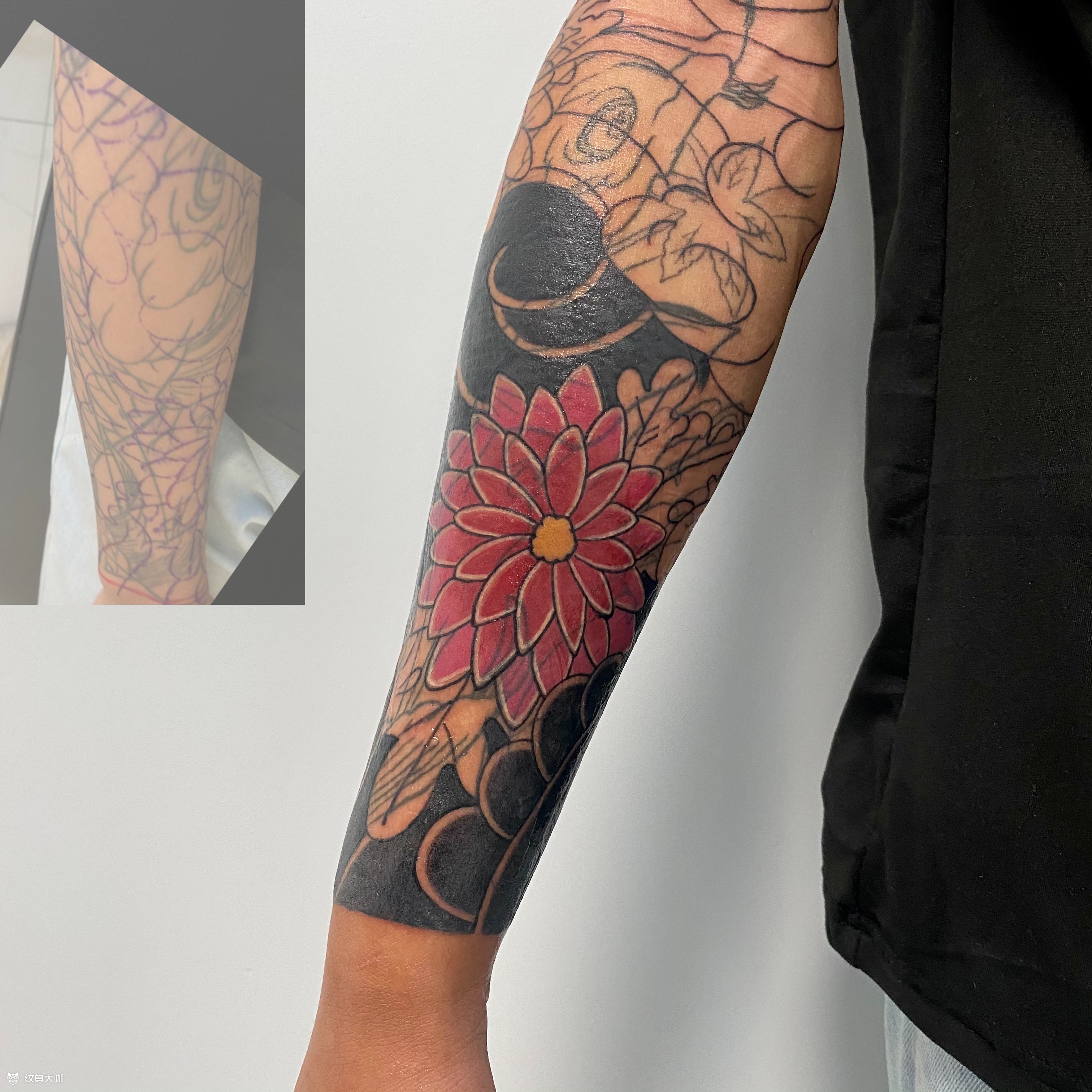 老传统菊花遮盖_纹身图案手稿图片_高家奇的纹身作品集